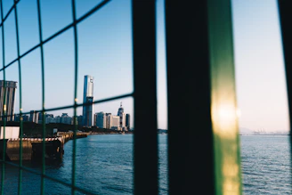 City skyline across the water seen through fence.