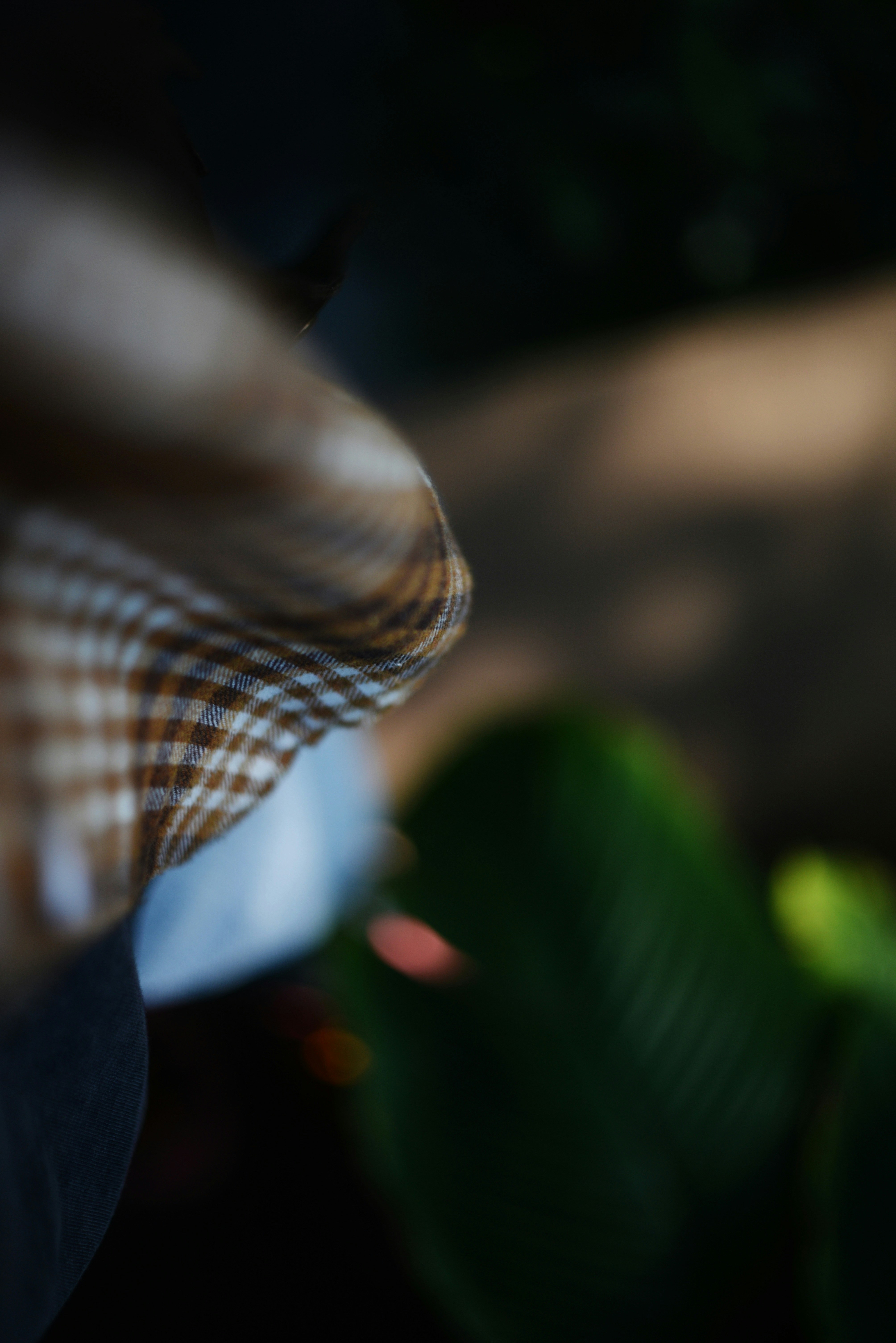 Photo by cherstve_pechivo