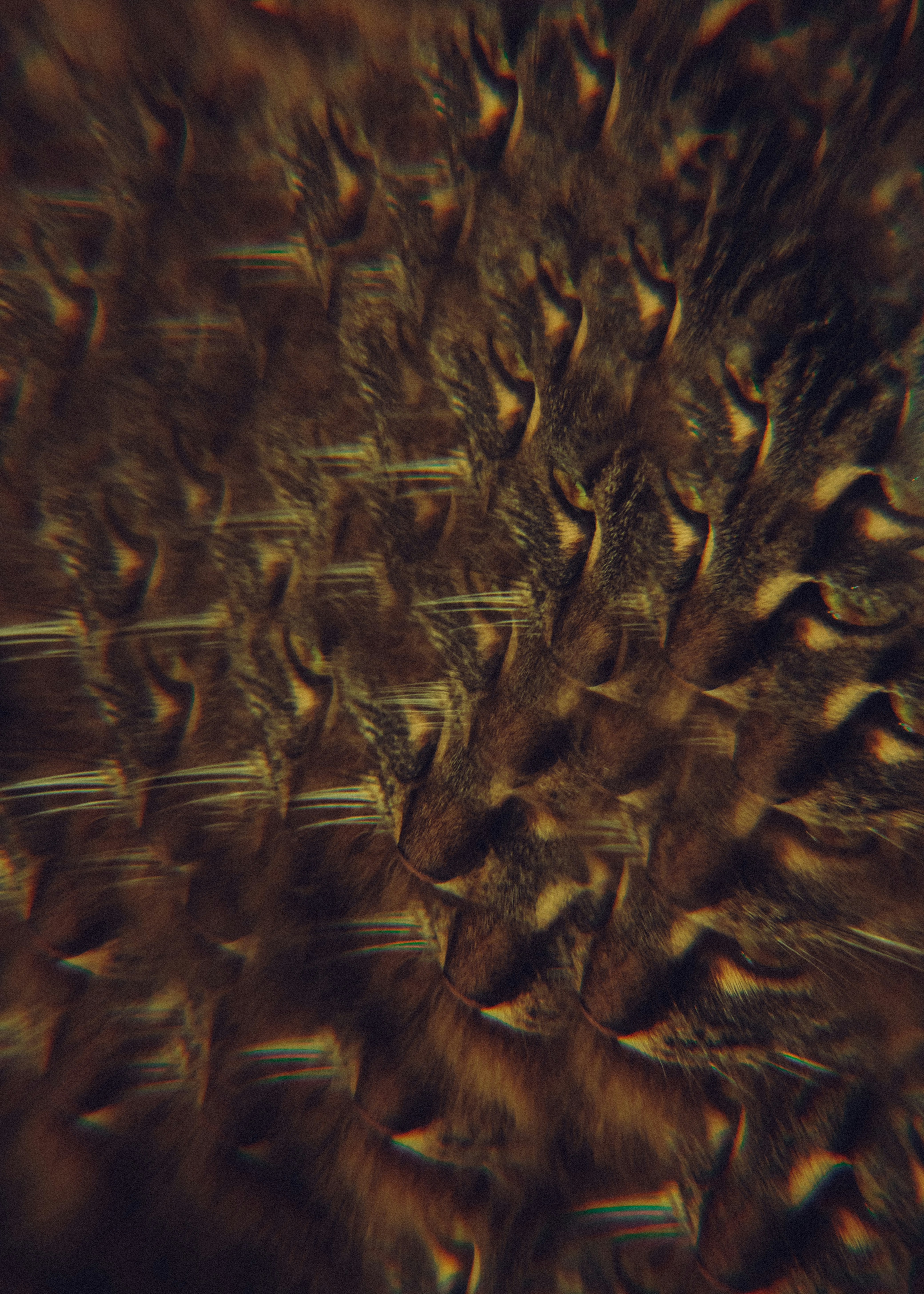Abstract pattern of sharp, golden triangles on dark background