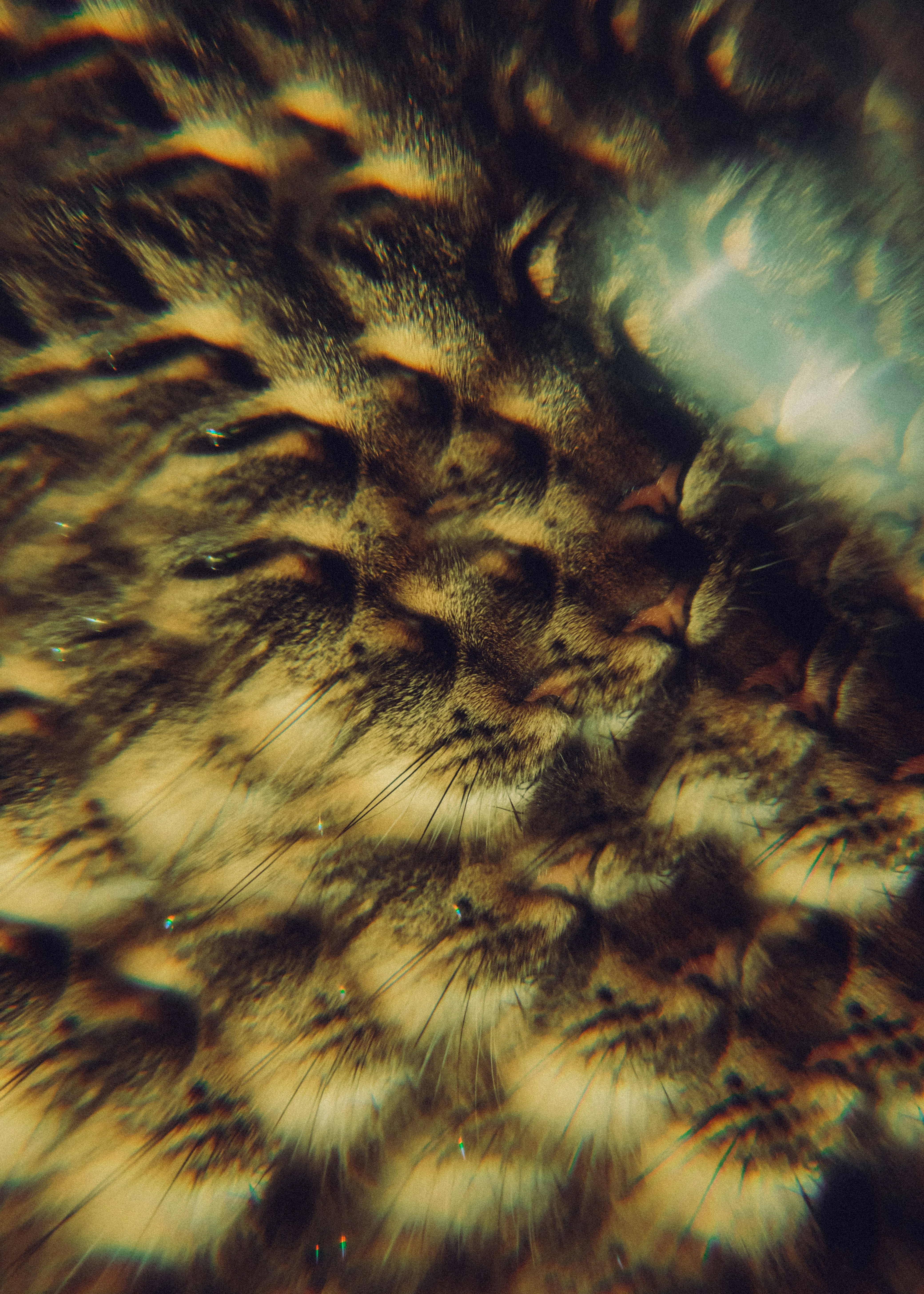 Close-up abstract pattern of brown and gold feathers.