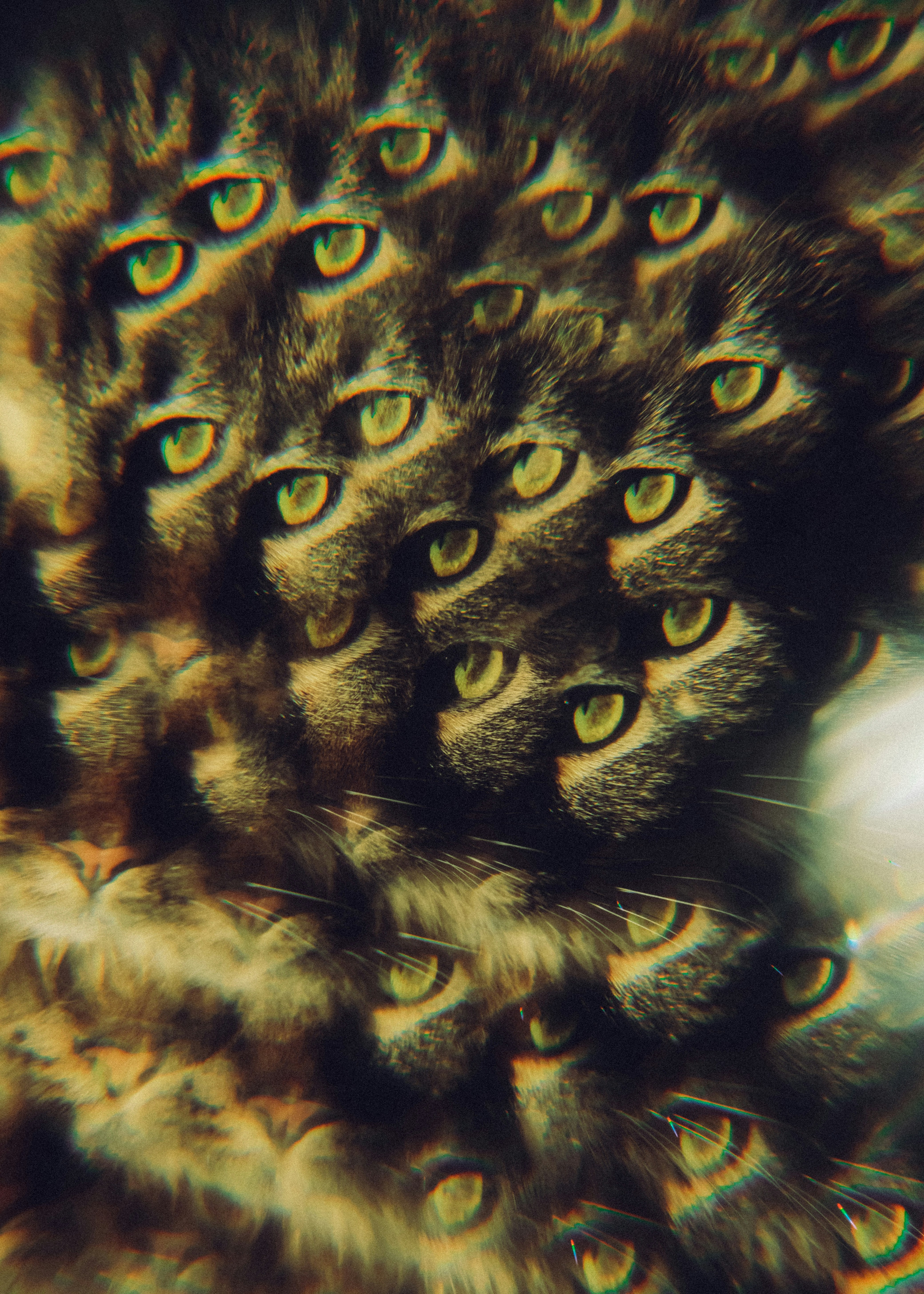Multiple cat eyes and faces create a surreal pattern