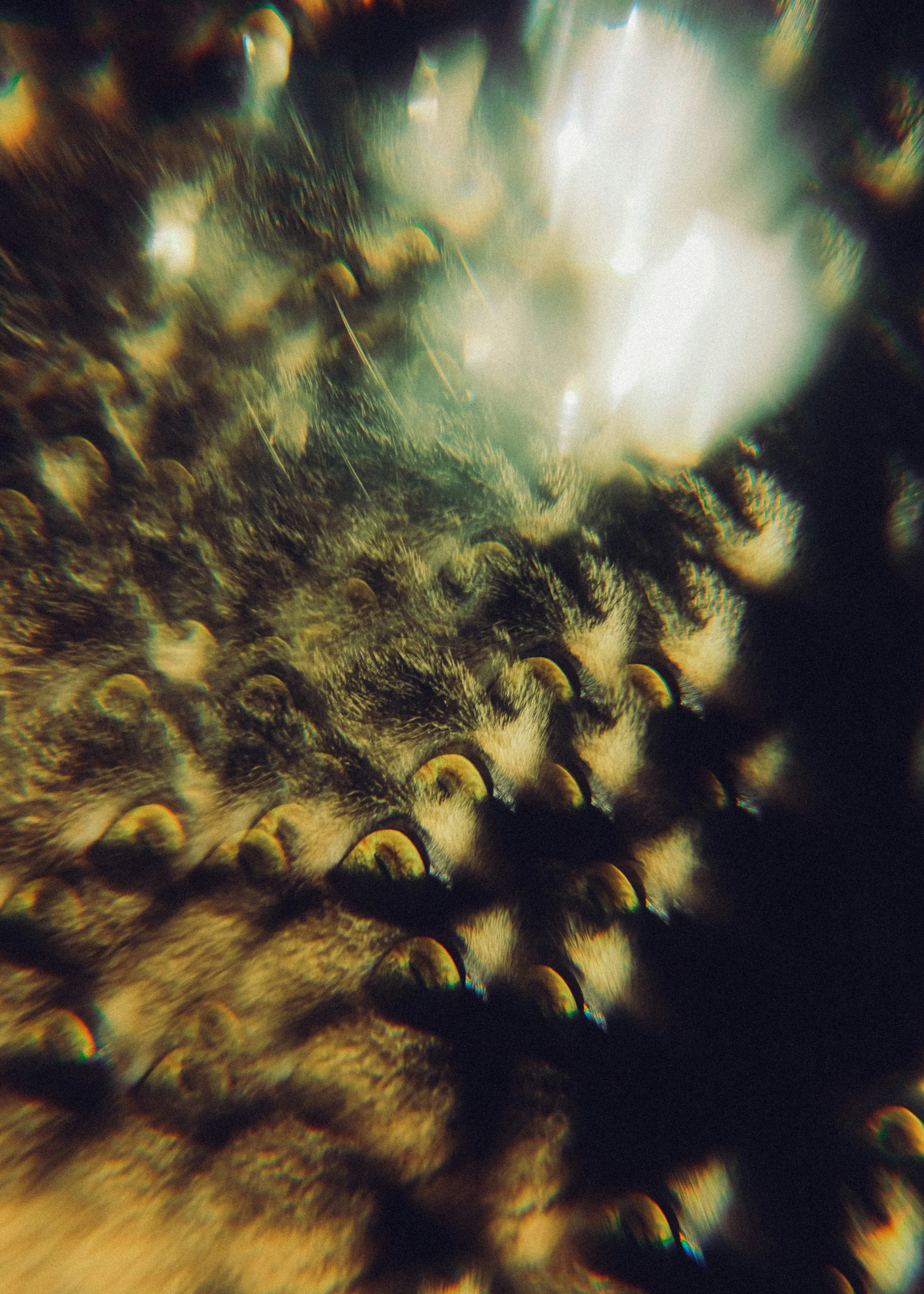 Close-up of textured brown and yellow abstract pattern