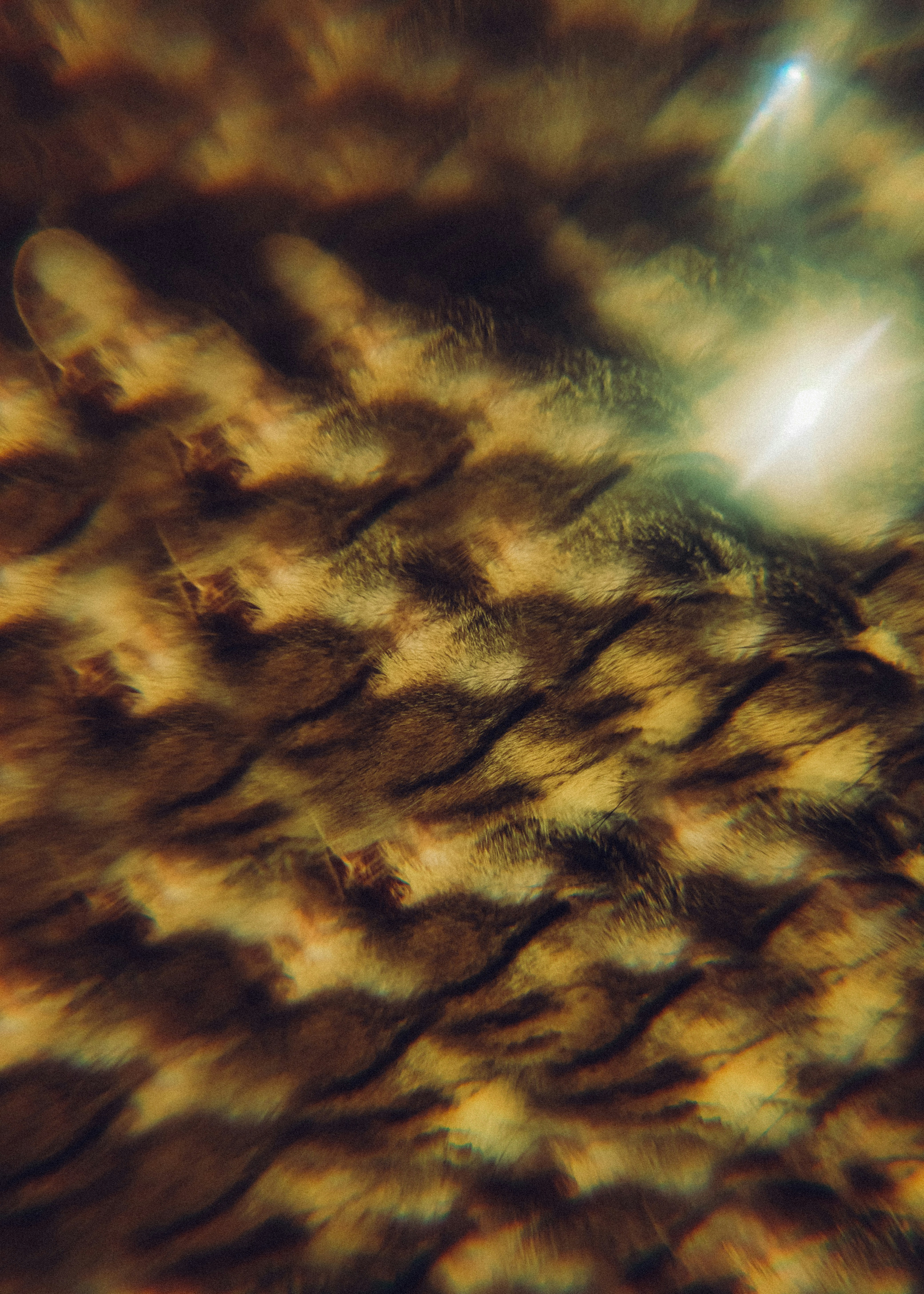 Abstract pattern of brown and gold textures with light flare