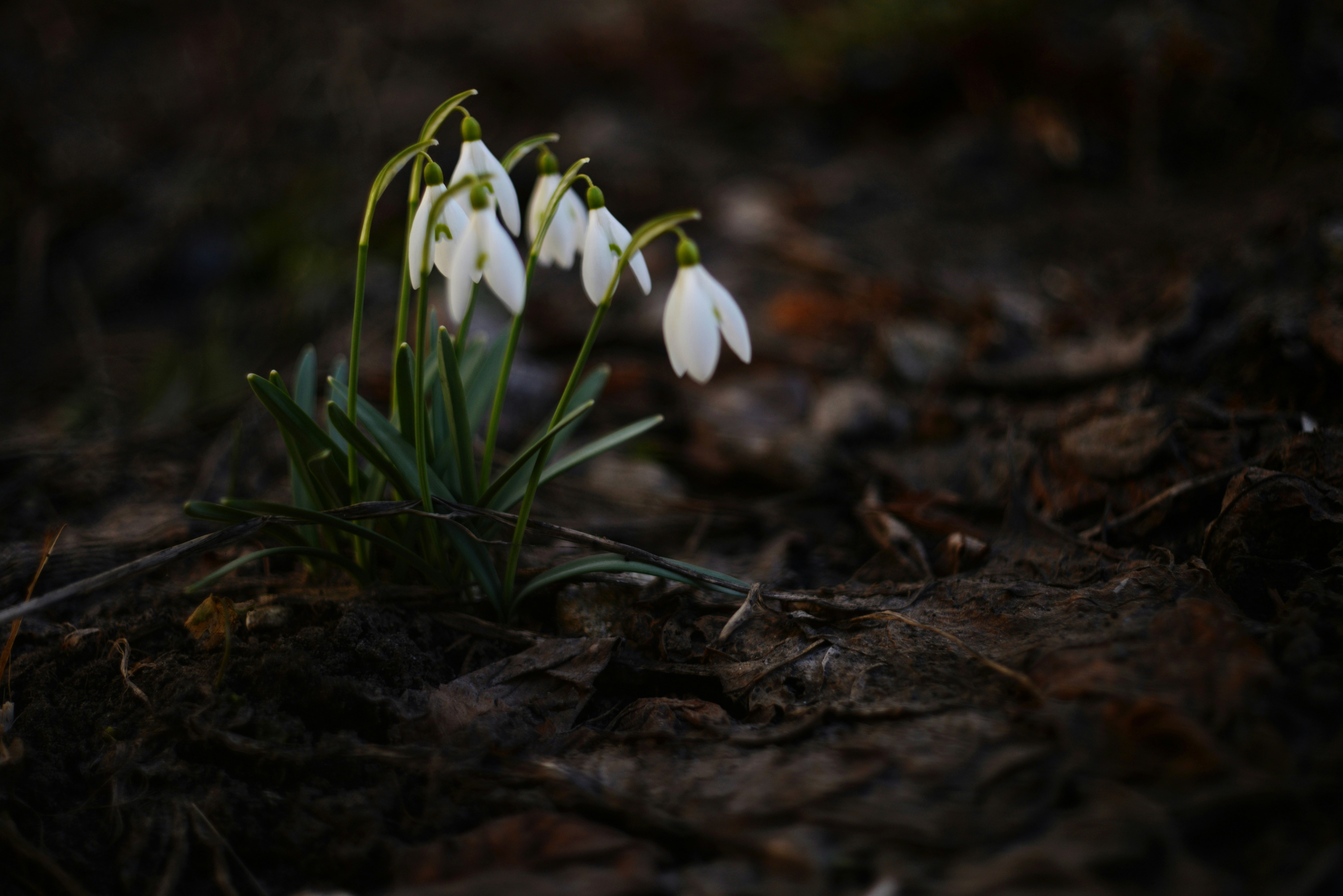 Photo by cherstve_pechivo