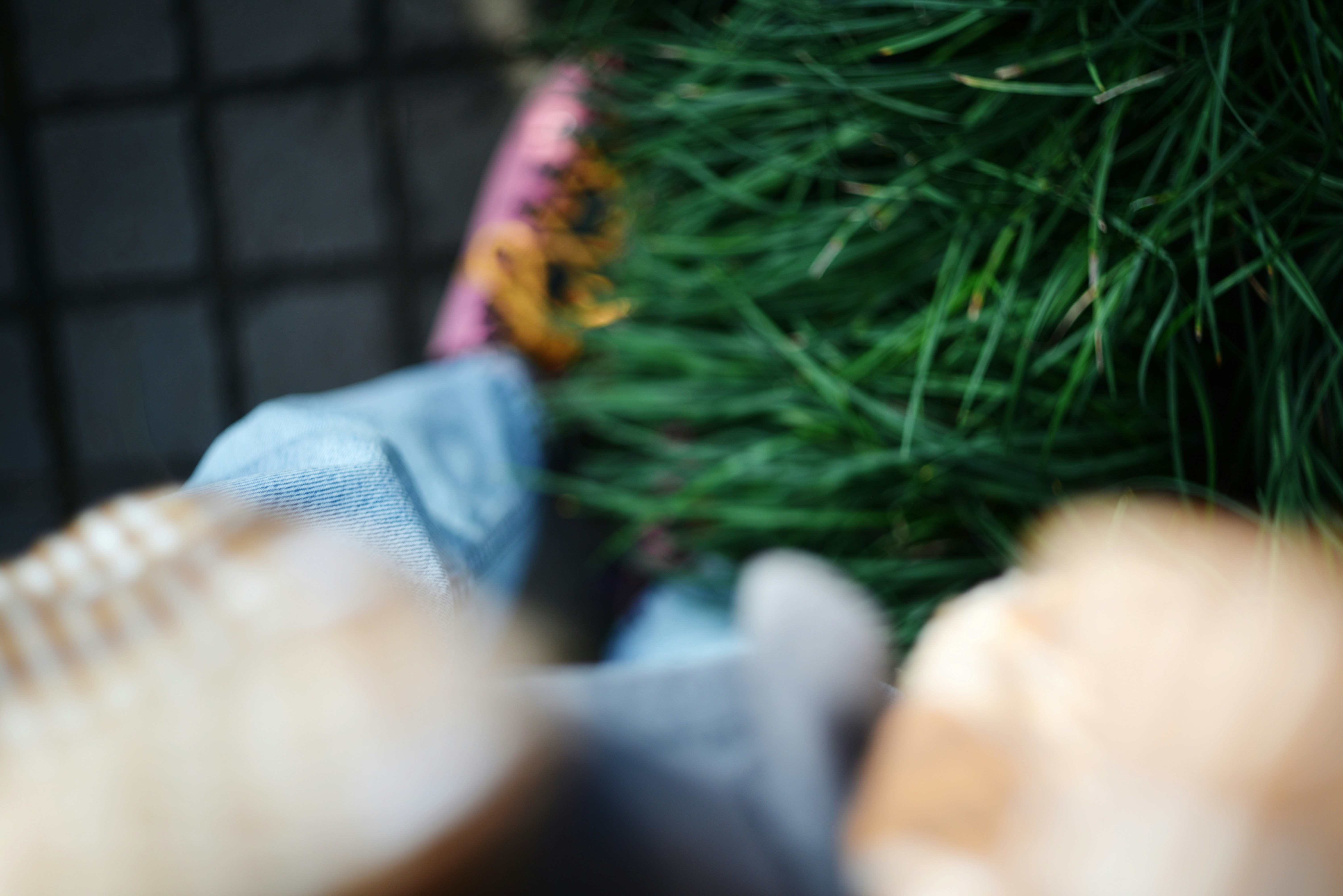 Photo by cherstve_pechivo