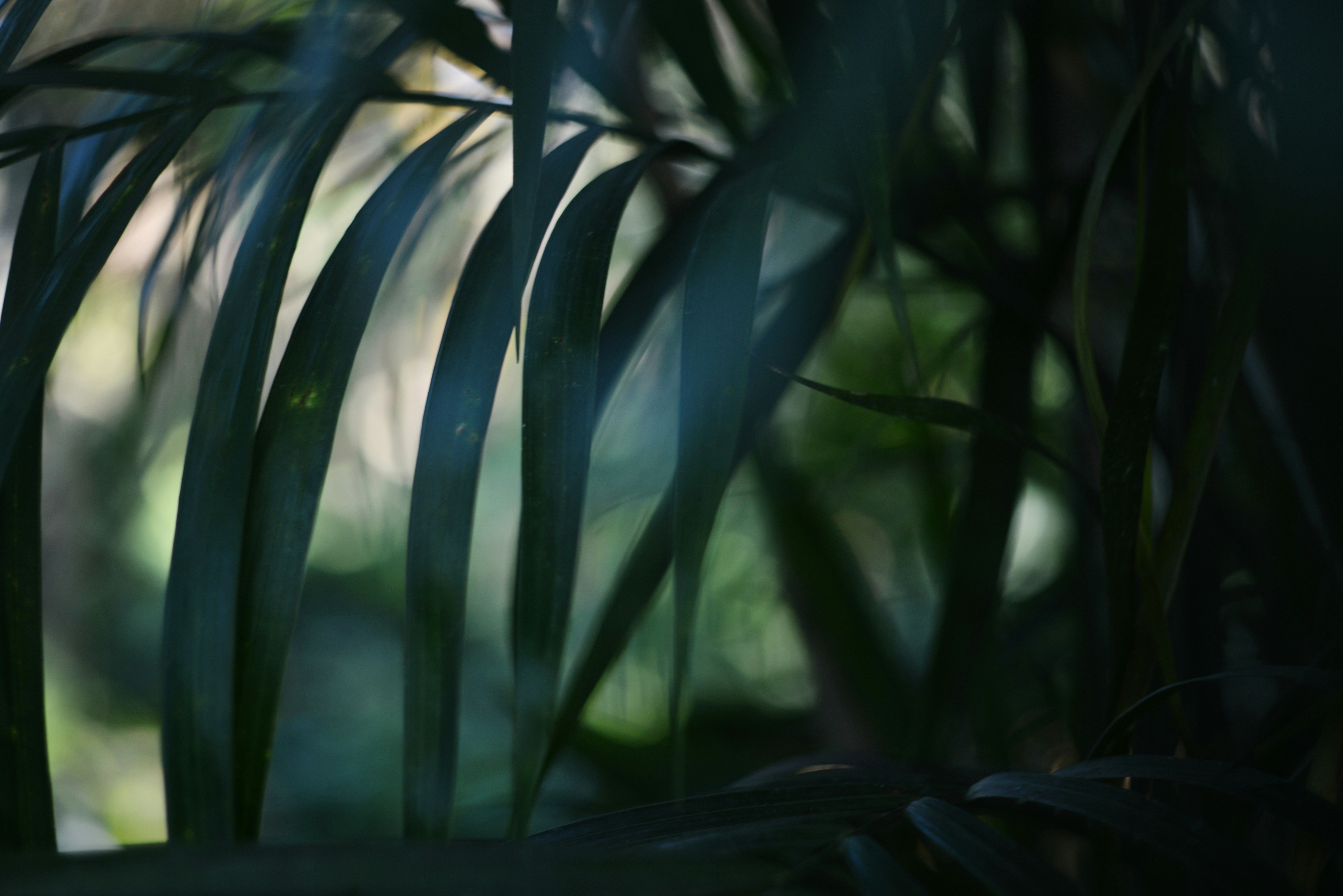 Photo by cherstve_pechivo