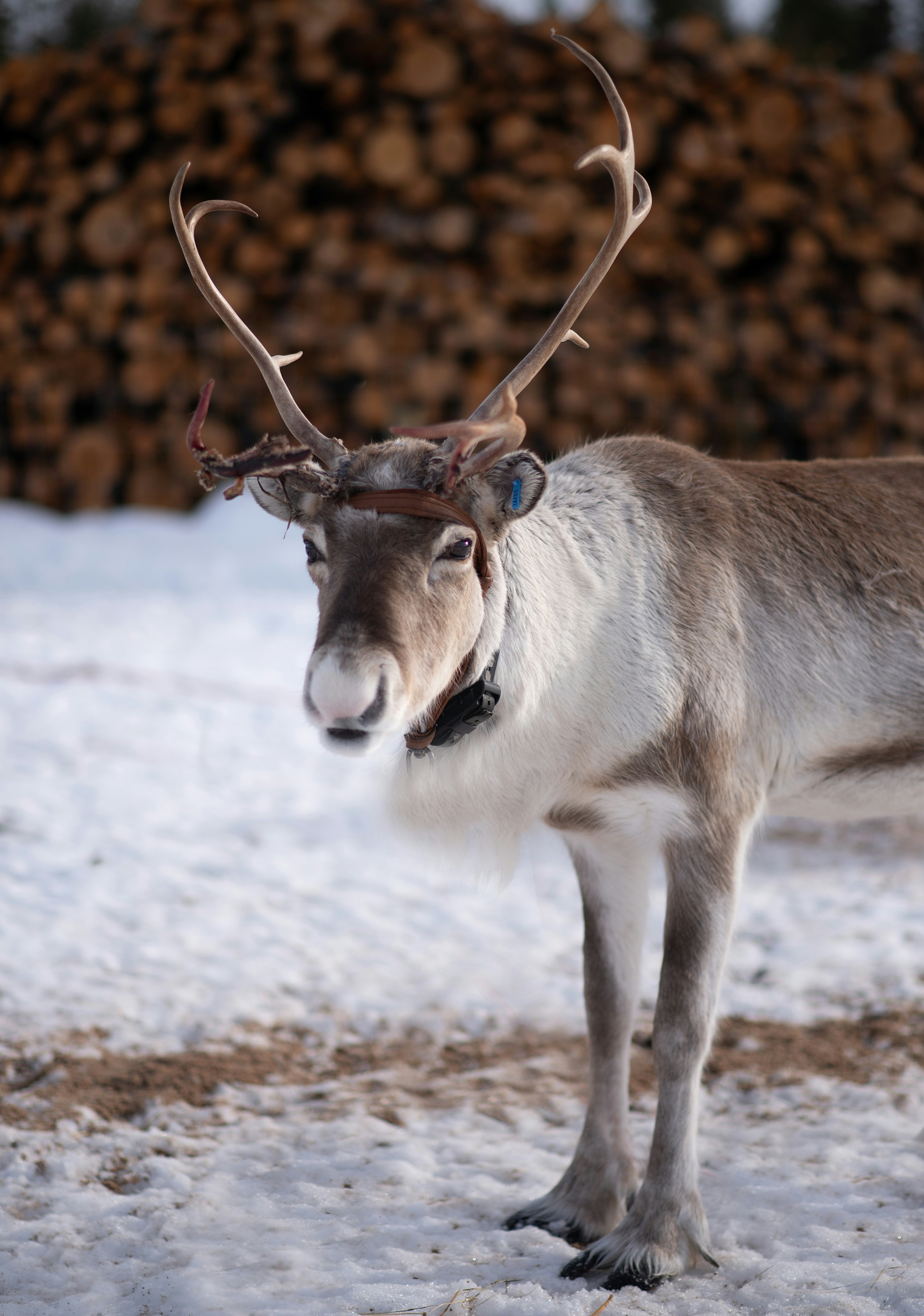 Photo by nadine_gern