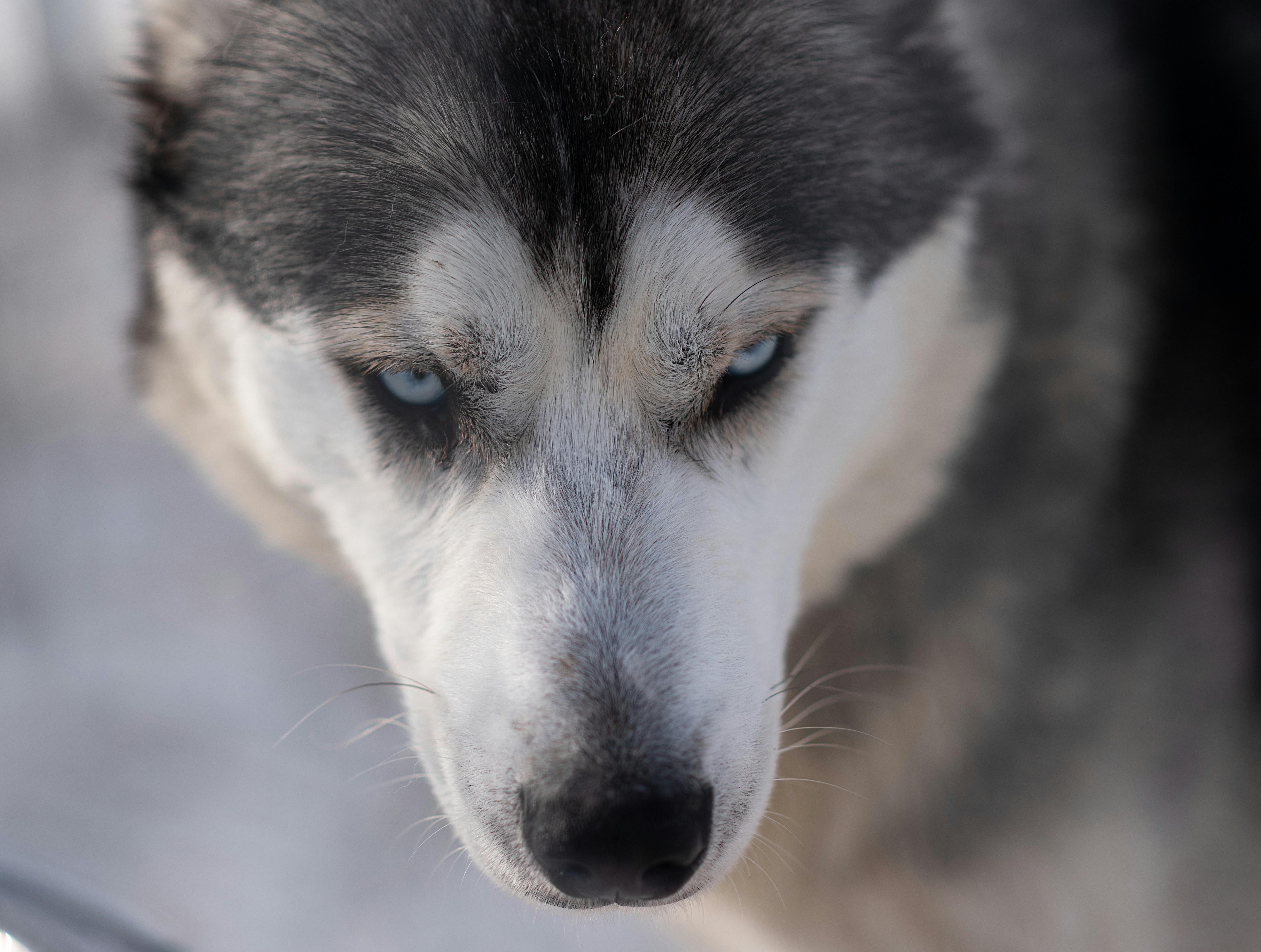 Photo by nadine_gern