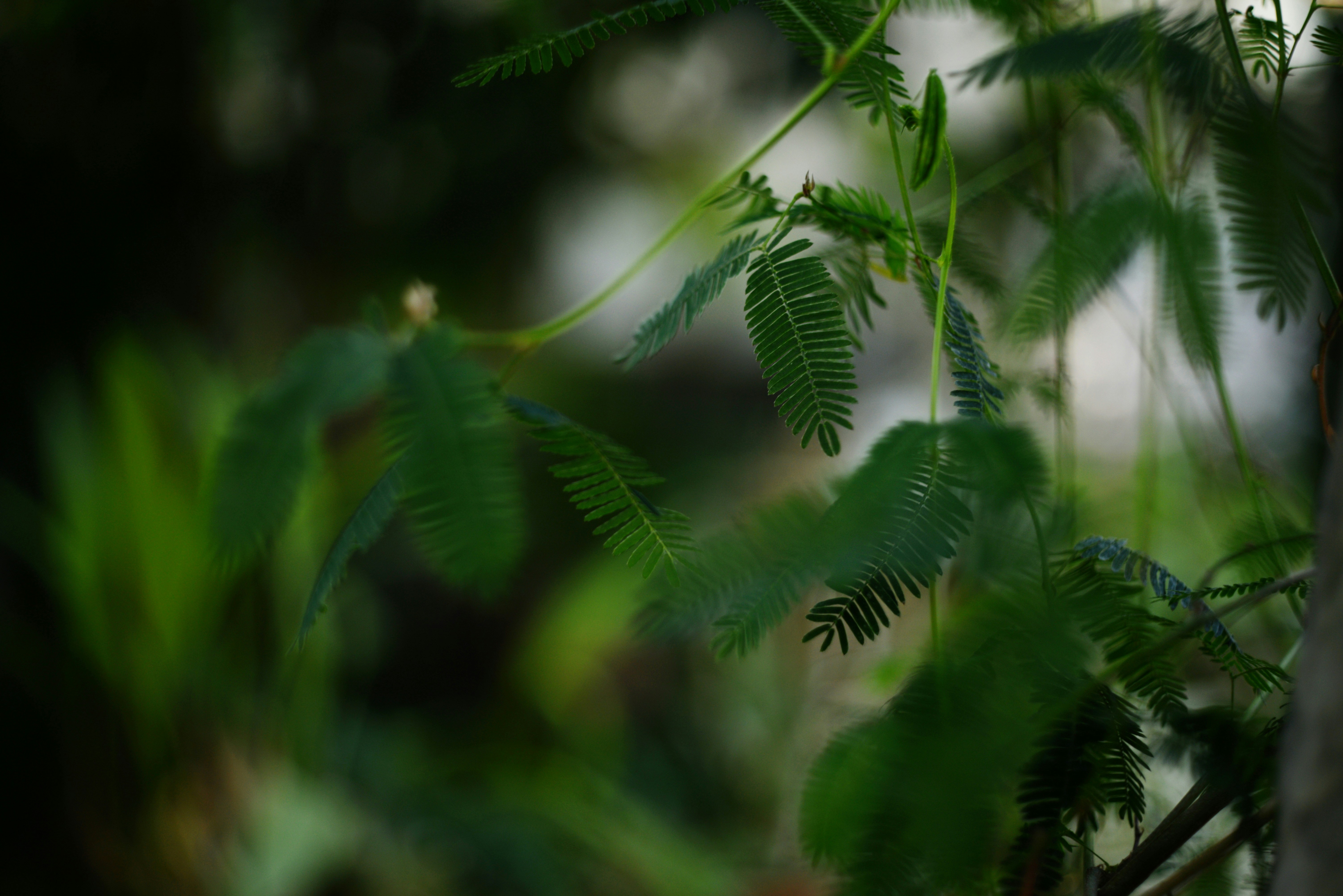 Photo by cherstve_pechivo