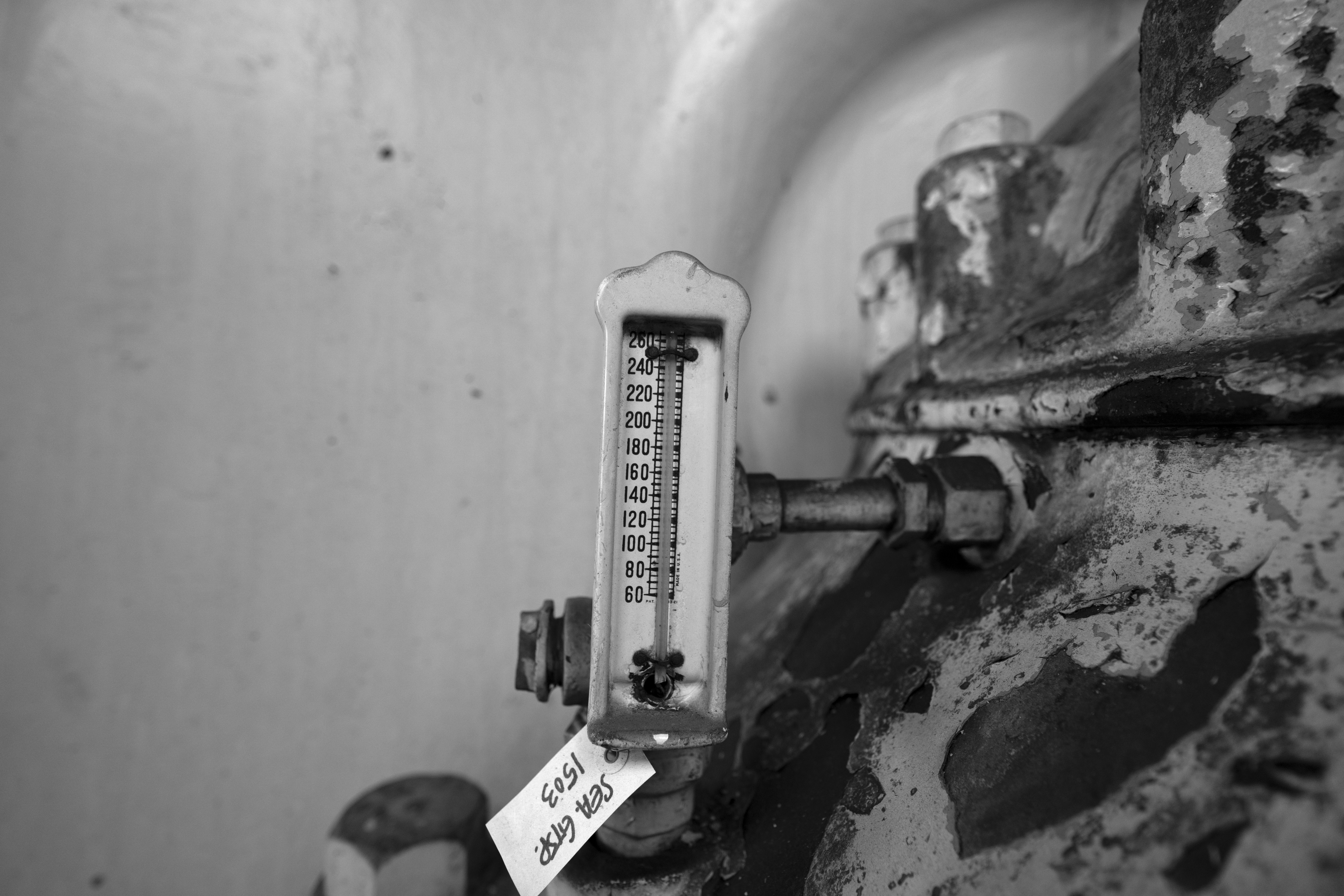 Firma MULTISERW-Morek