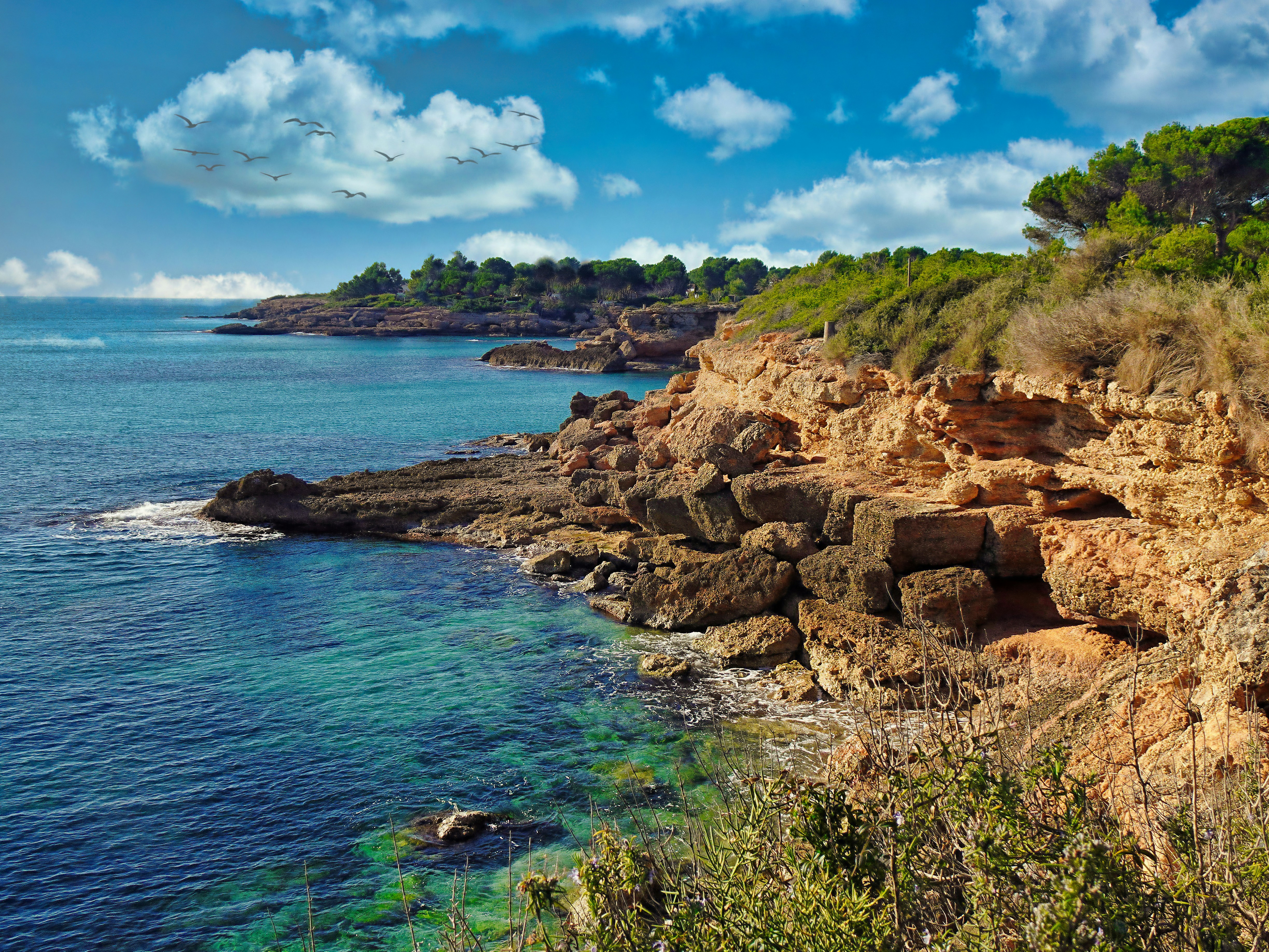Cala de la Roca dels Musclos - foto 5