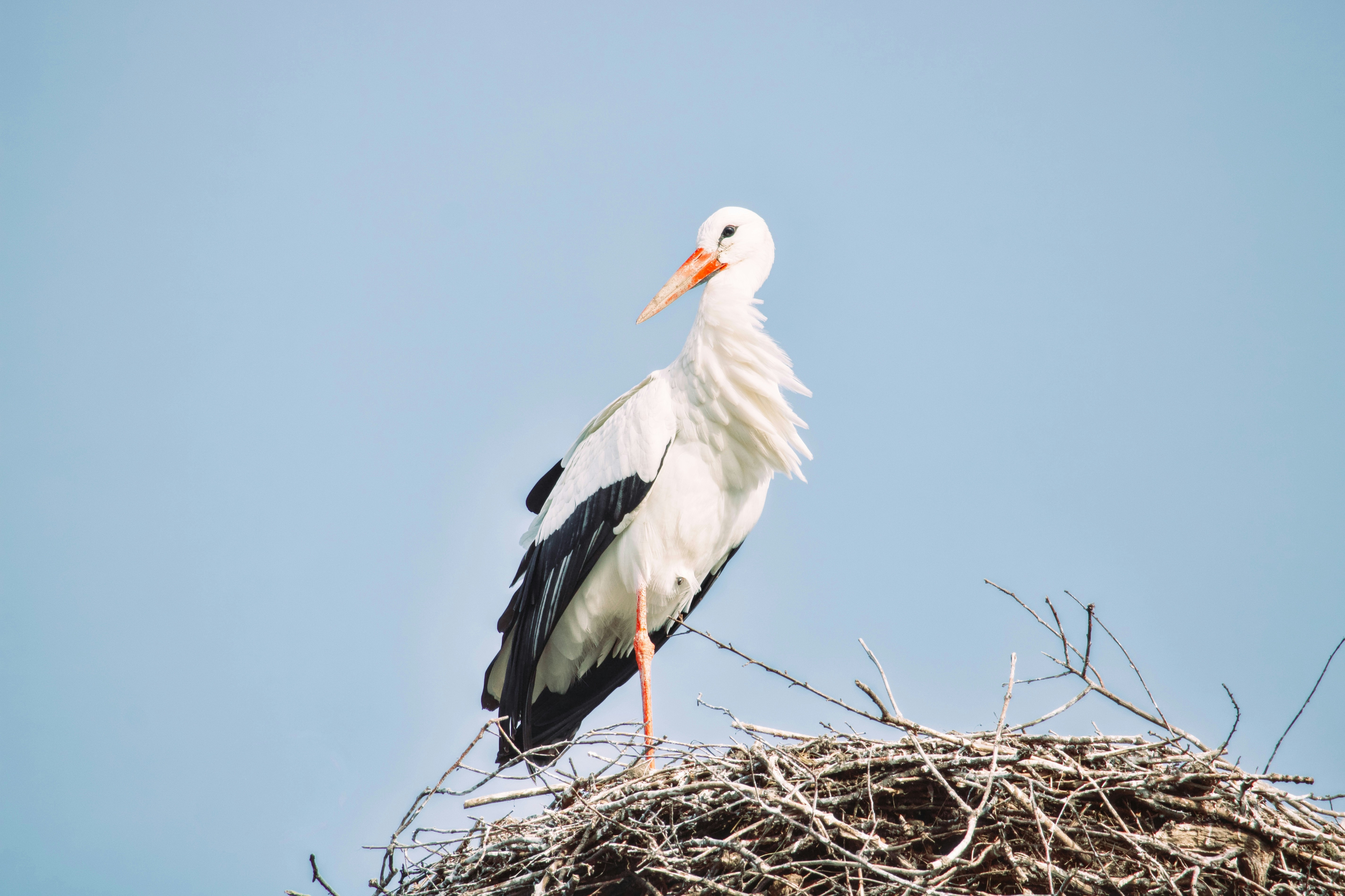 Photo by sveneisenschmidt