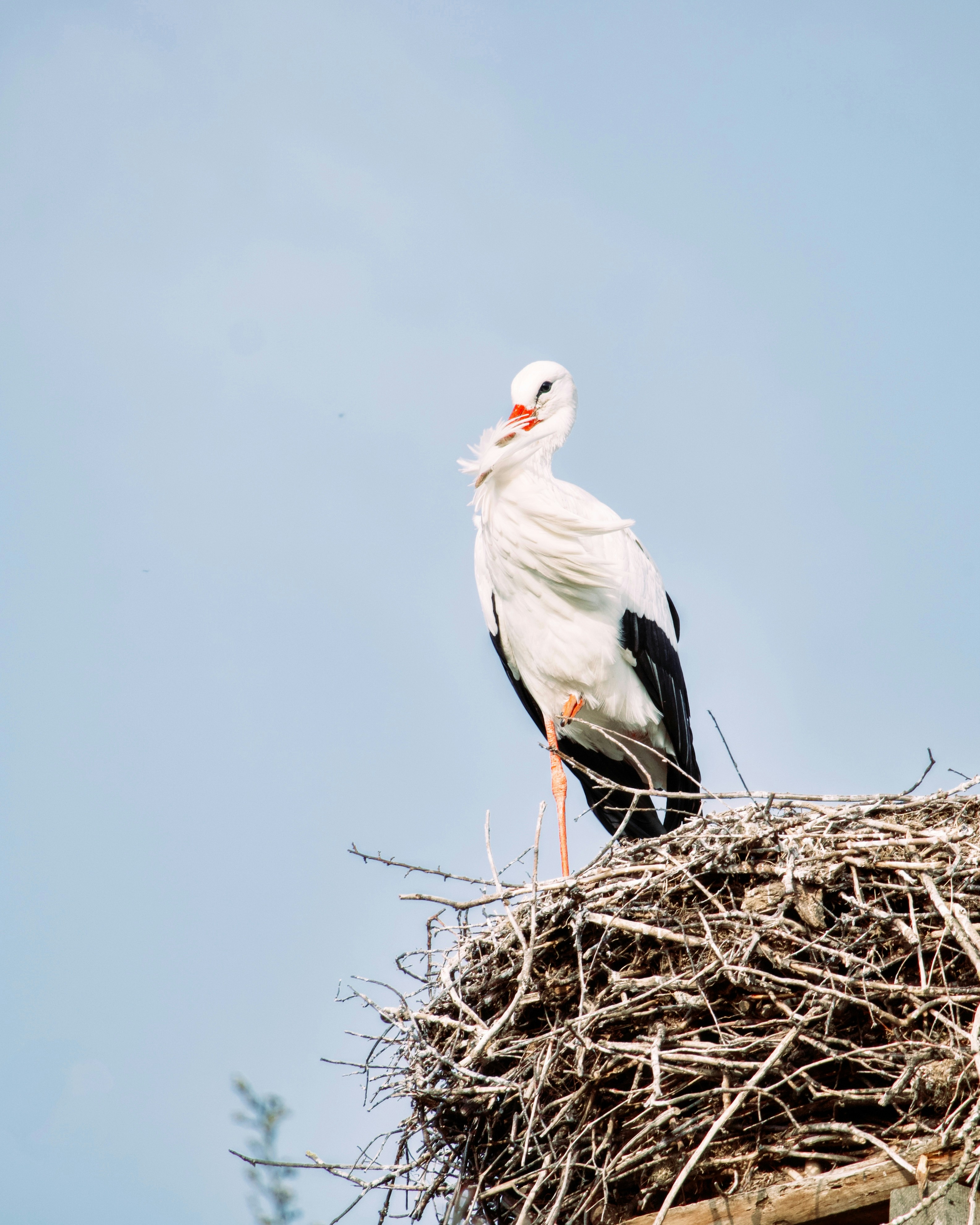 Photo by sveneisenschmidt