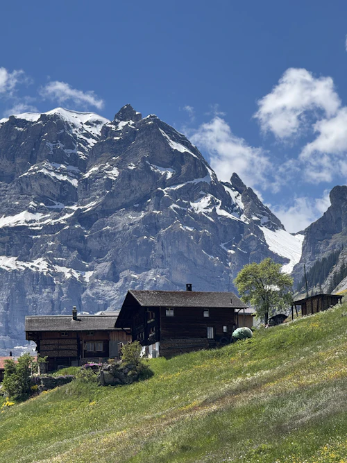 Chalets de bois sombre sur un versant herbeux, sous un sommet rocheux enneigé