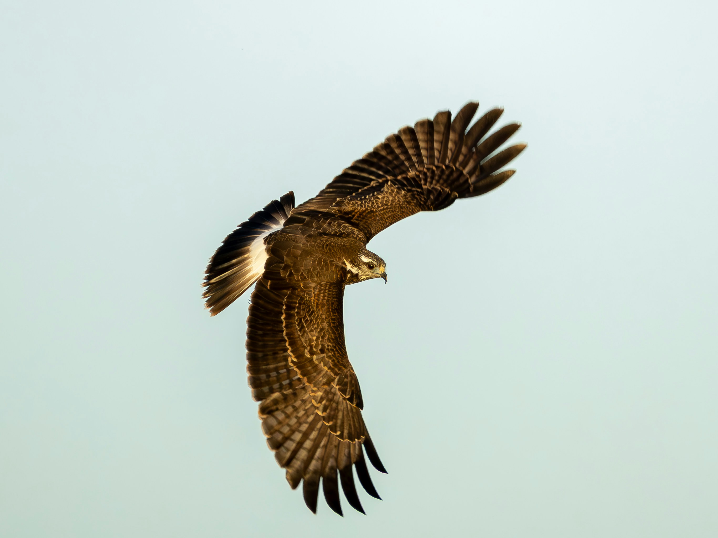 Photo by matheuskprot