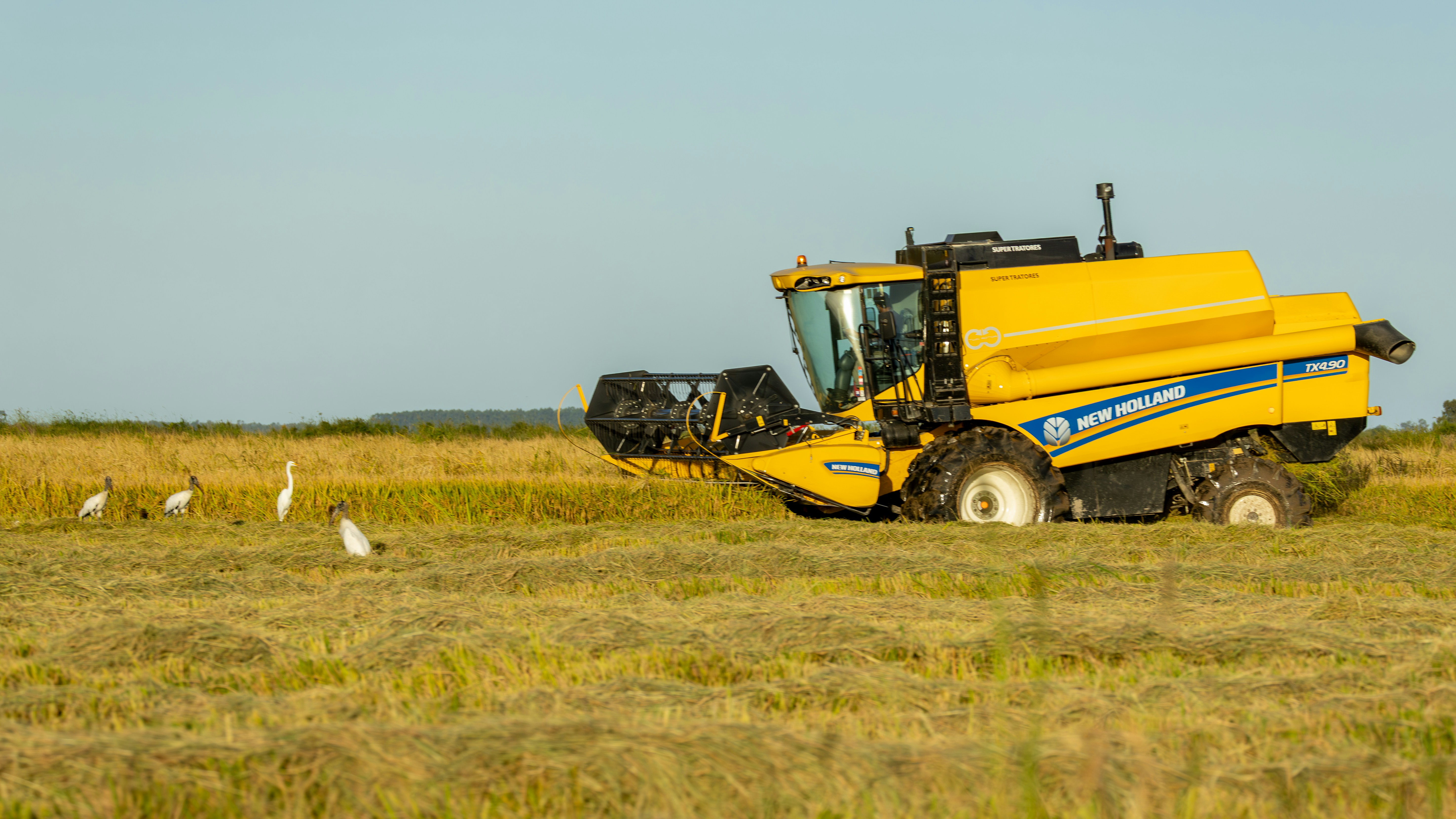 Photo by matheuskprot