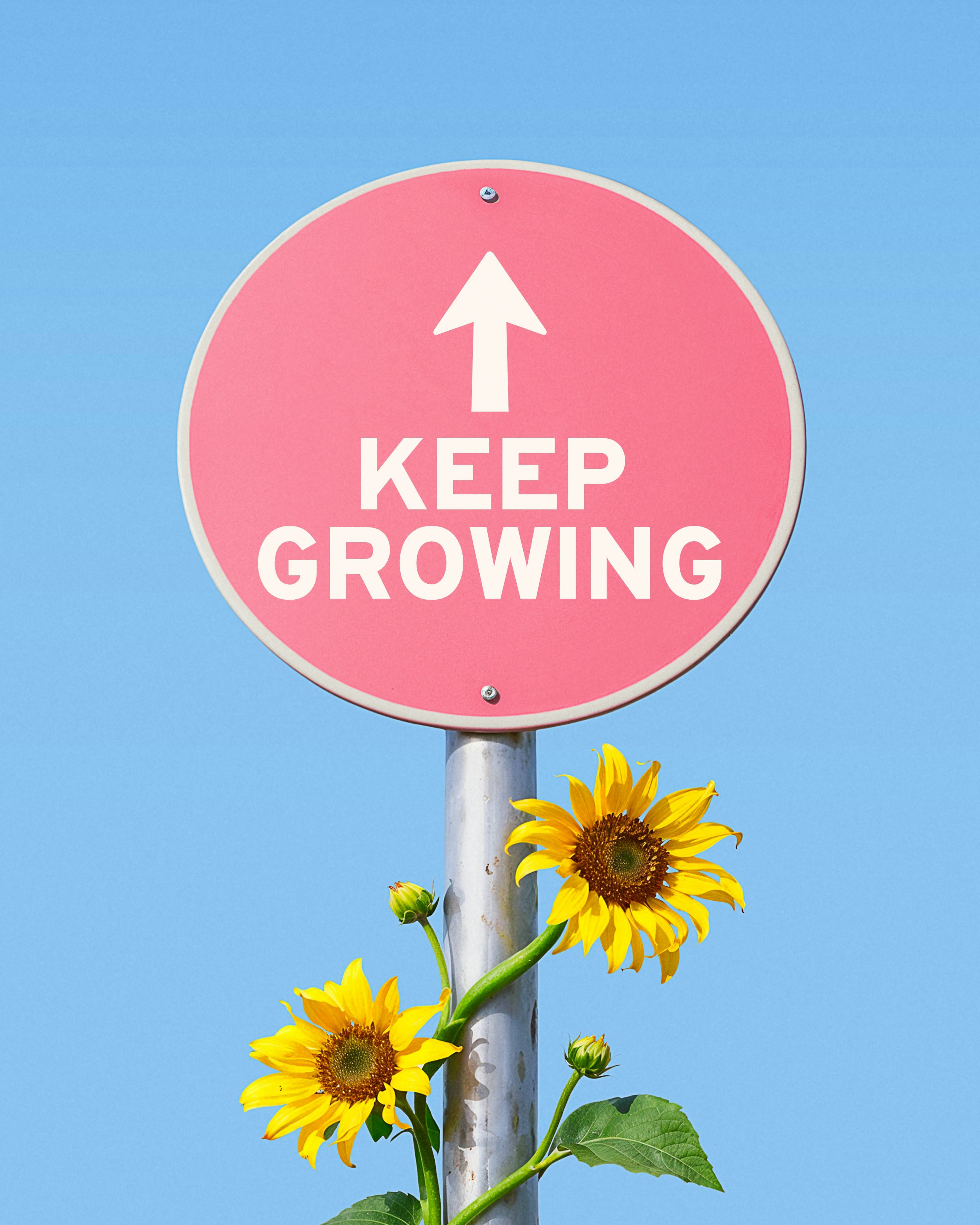 Pink sign with "keep growing" and sunflowers