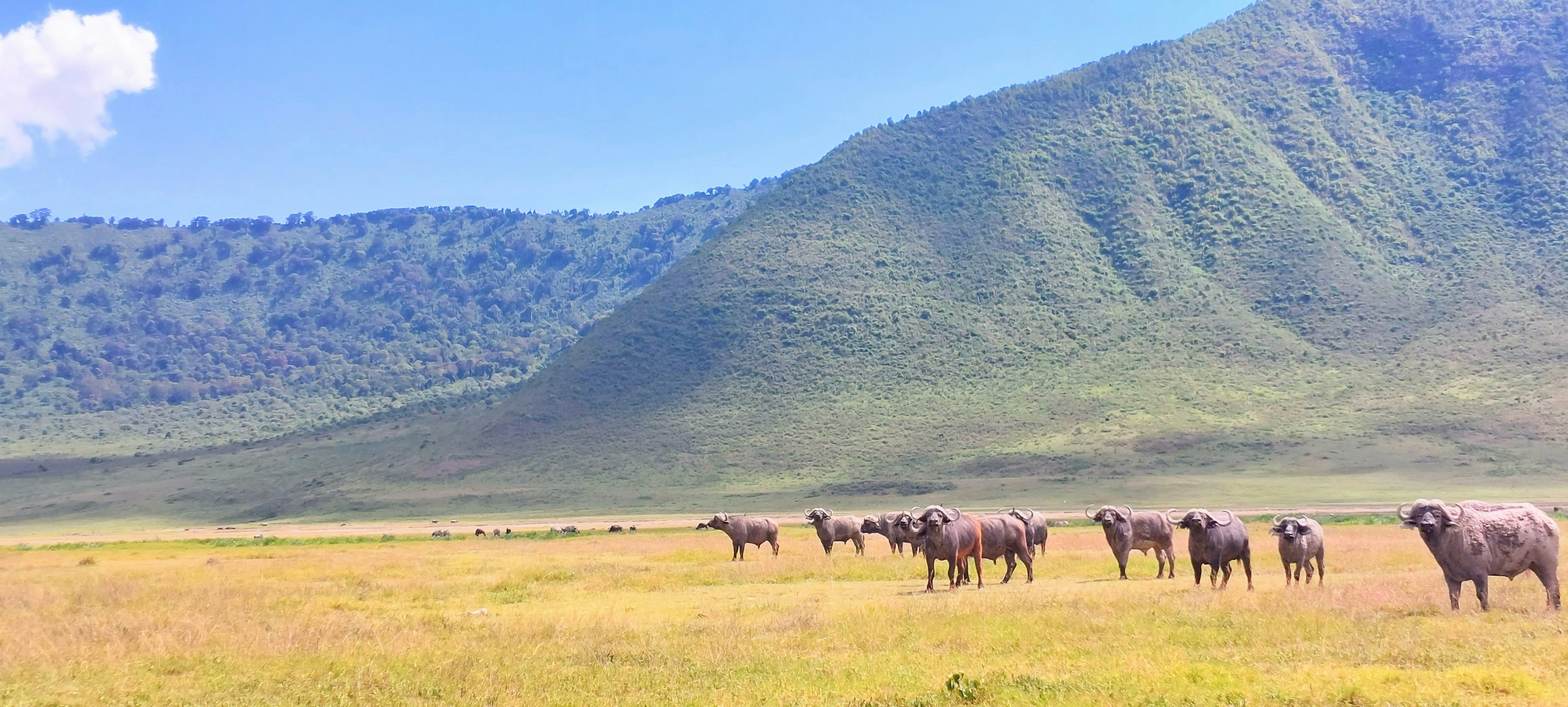 How to Organize School or Educational Group Expedition to Llanos