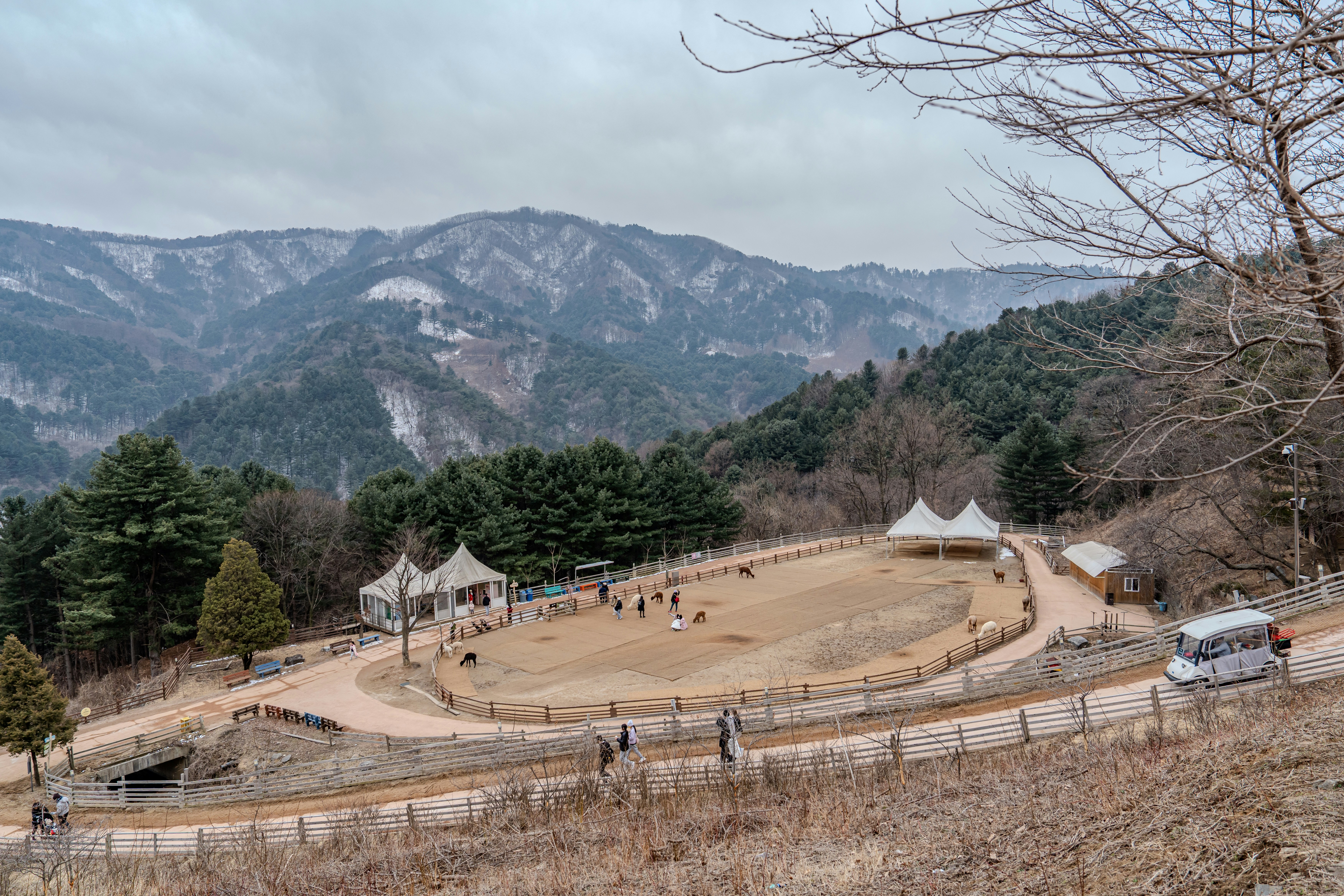 올봄, 기차비 '100% 무료'에 여행비 반값 환급까지? 역대급 여행 혜택의 정체