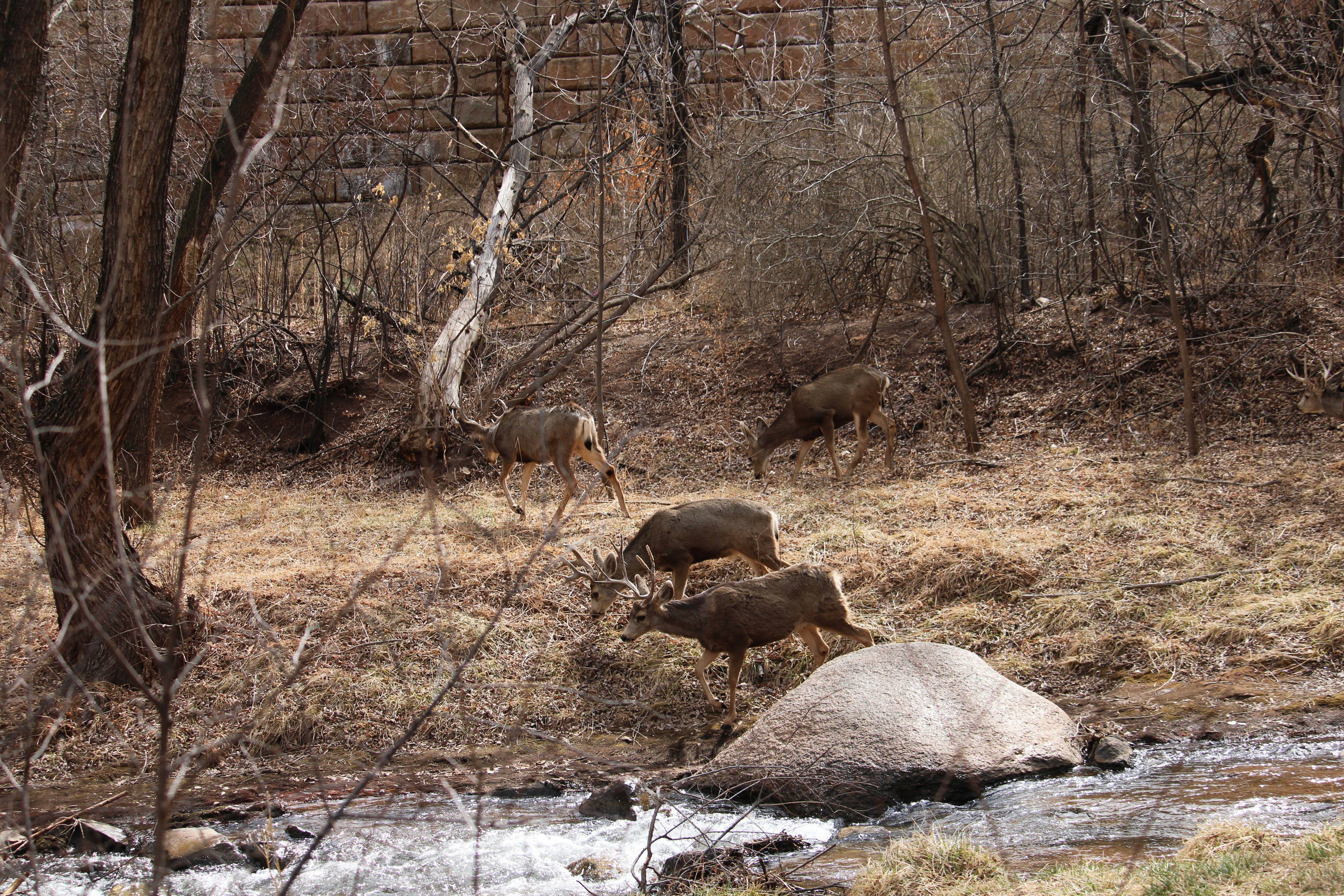 Deer Creek Park