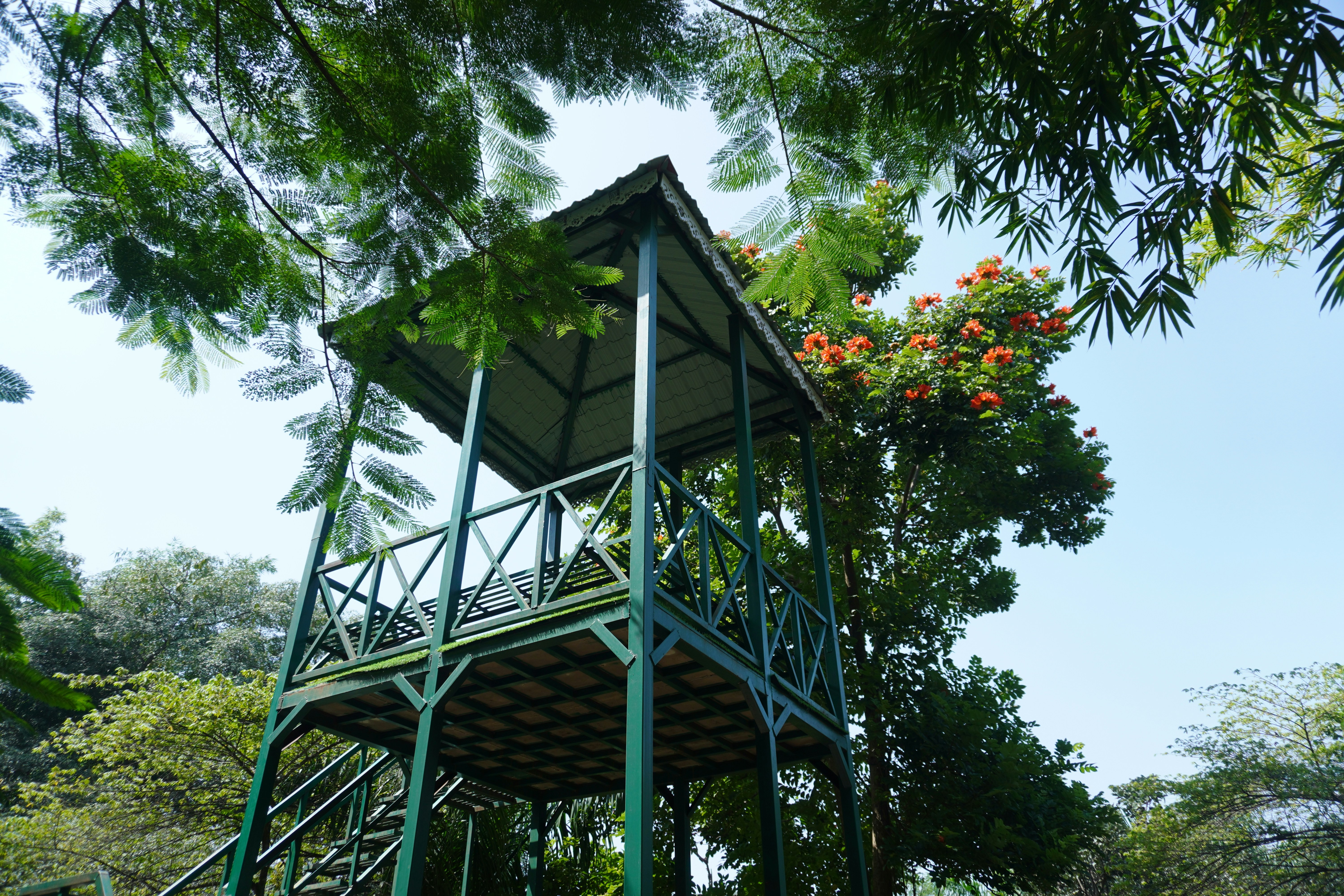 Tower Park