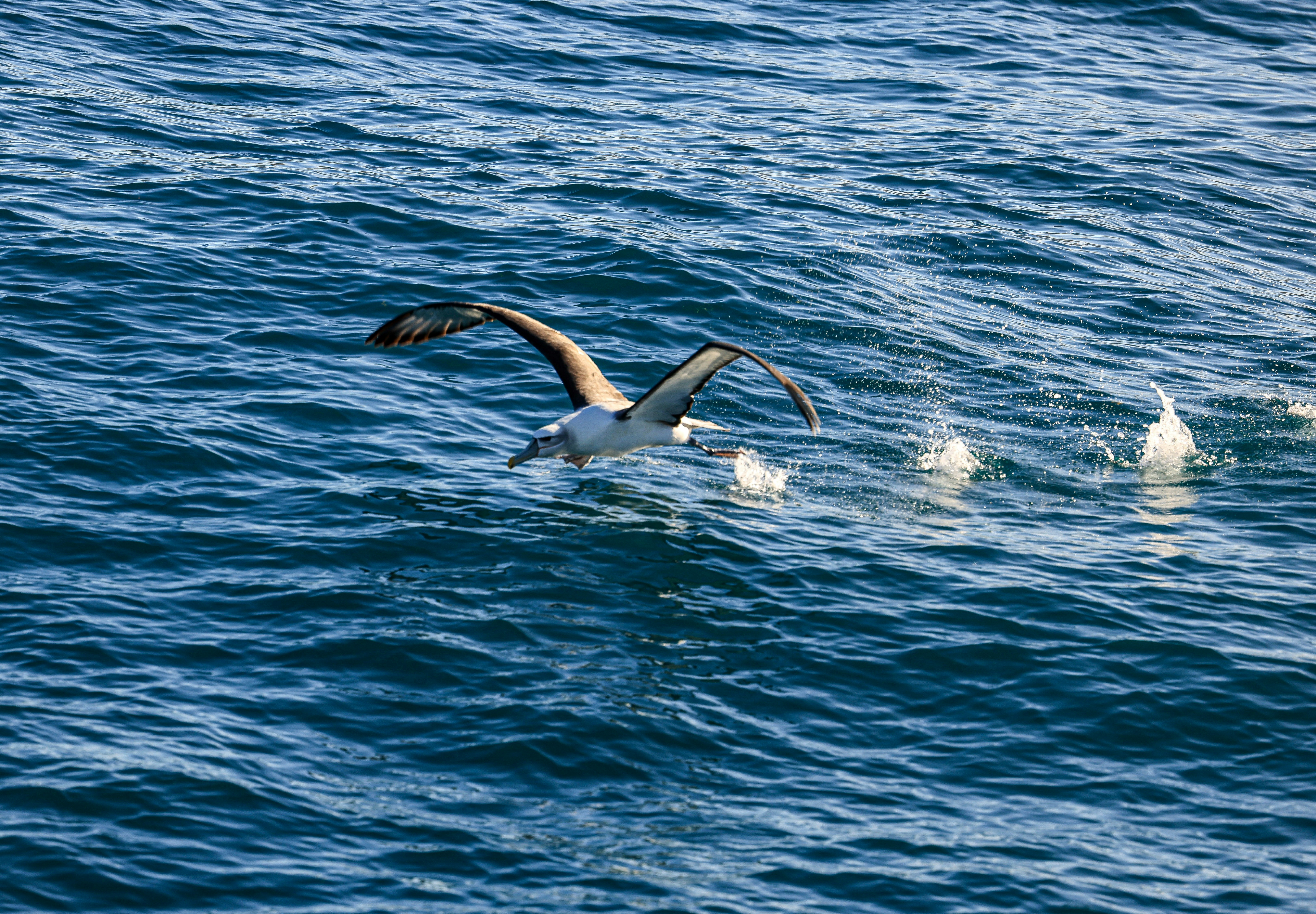 Photo by maximilian_brand