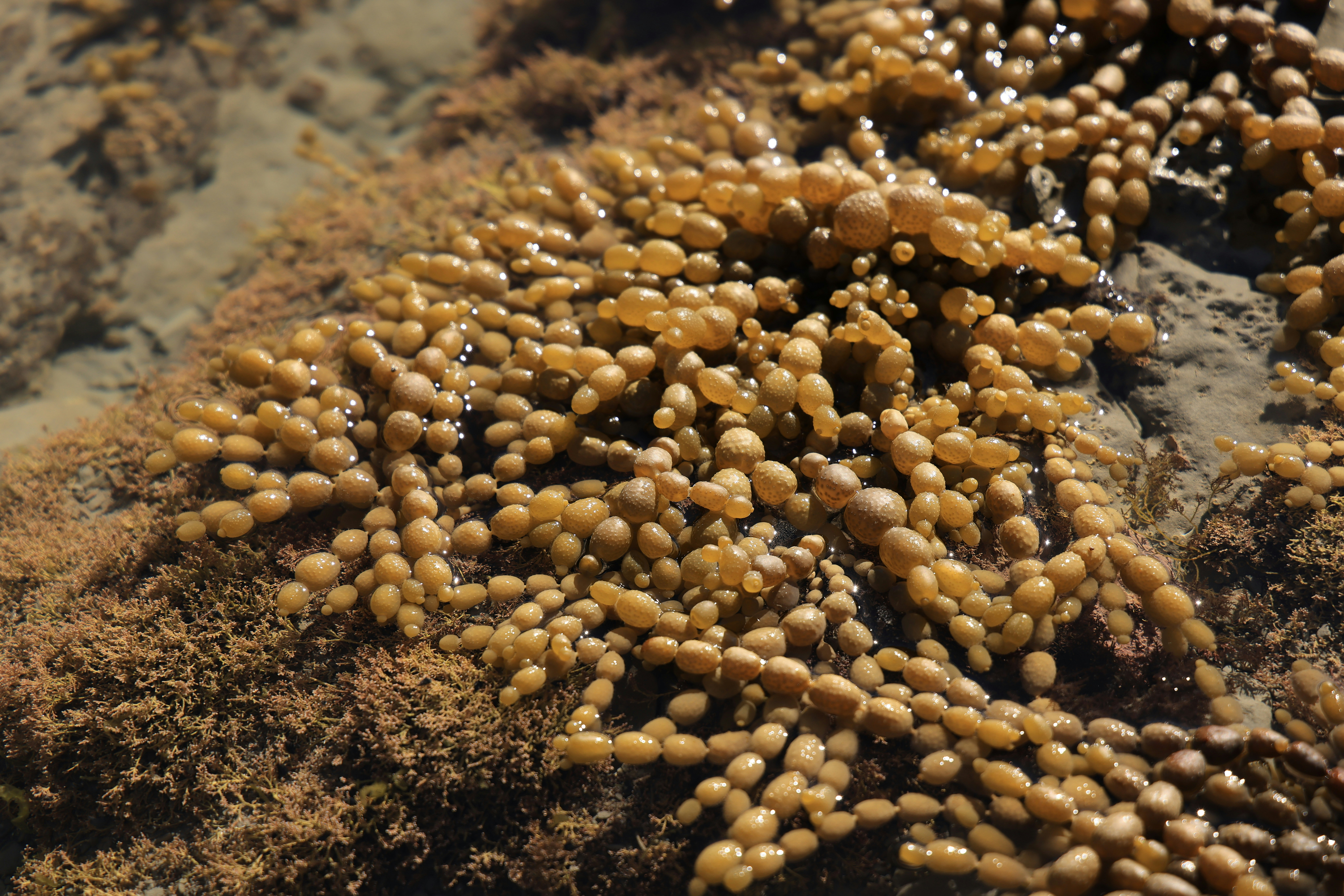 Photo by maximilian_brand