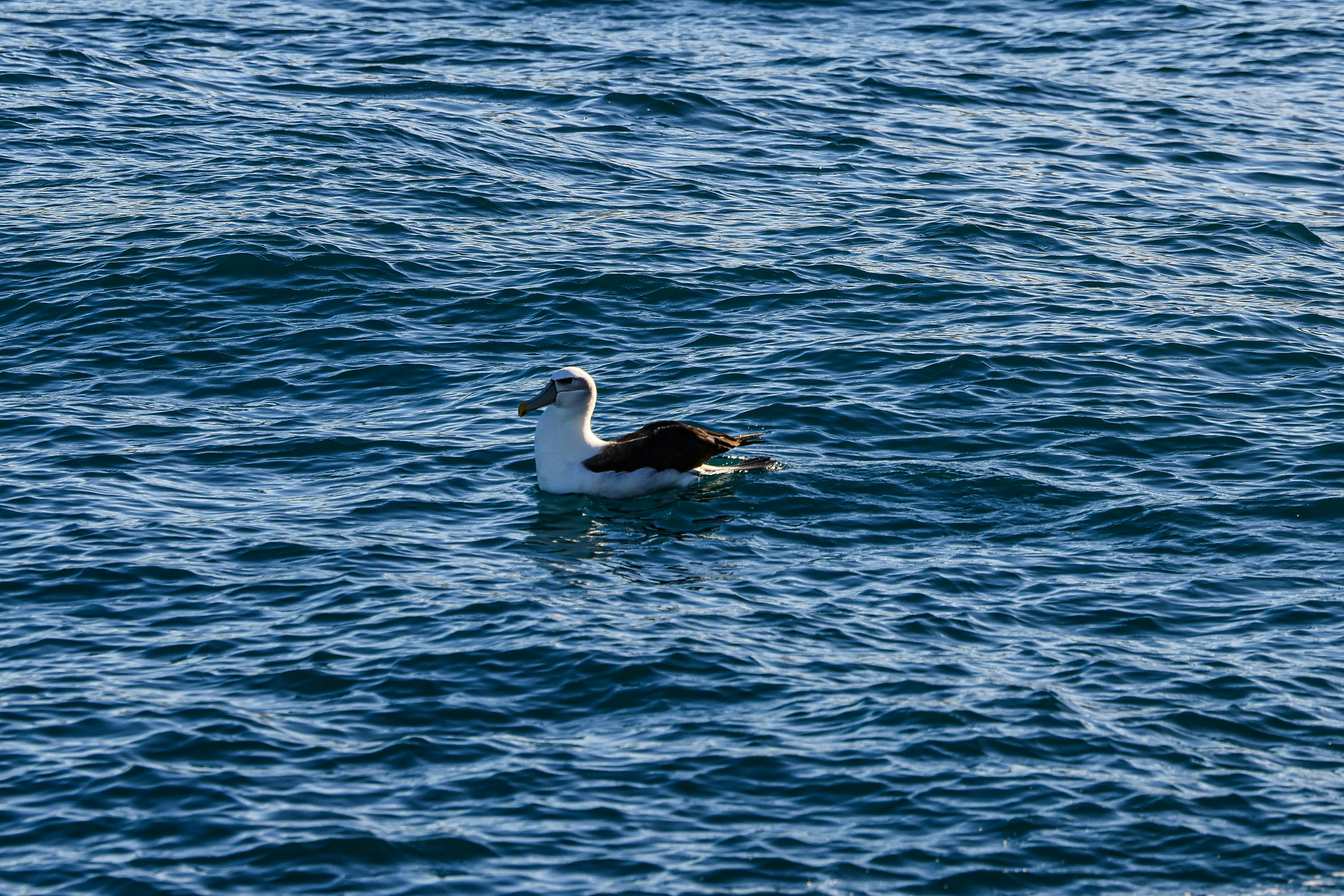 Photo by maximilian_brand