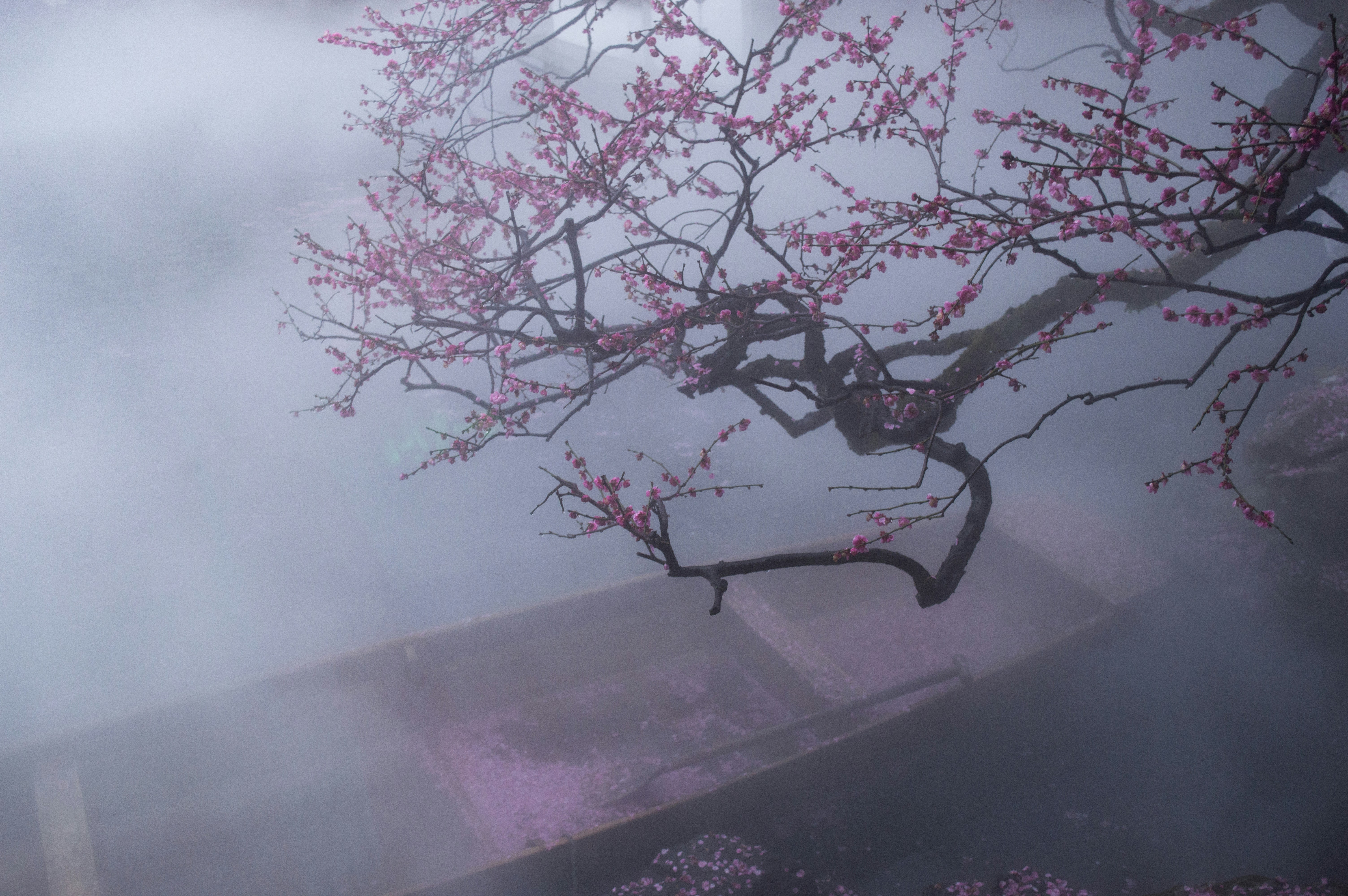 Photo by xiakuangkuang