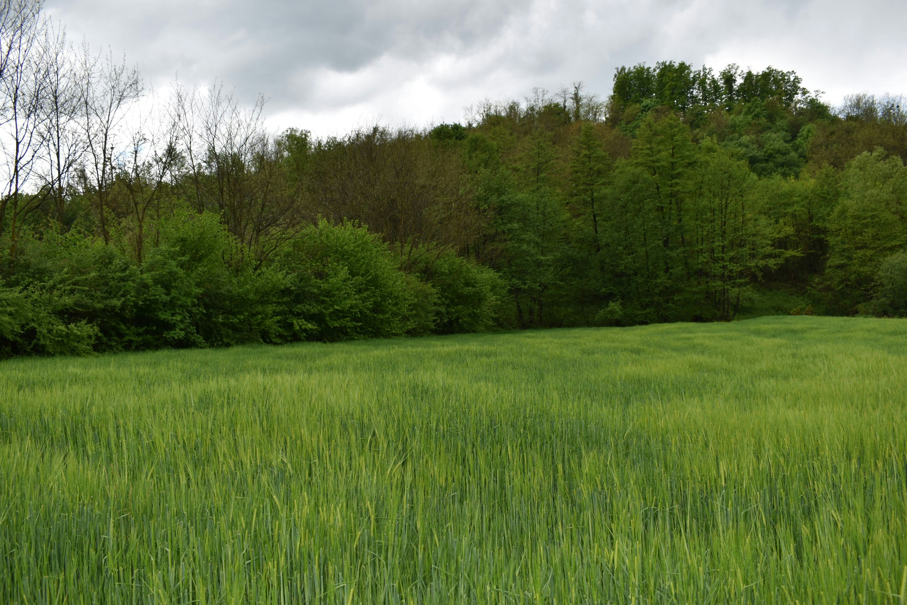 Photo by msivrictech