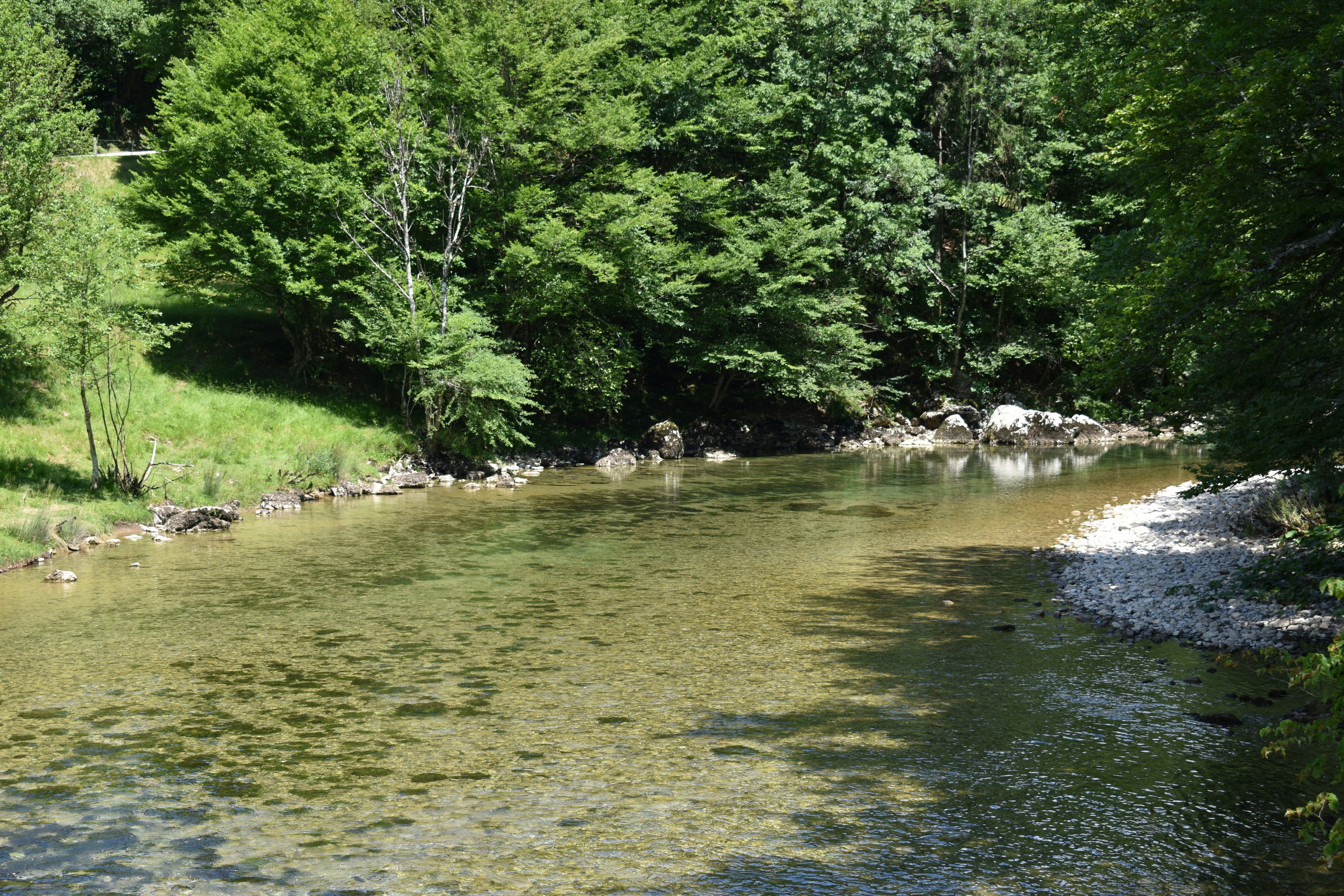 Photo by msivrictech