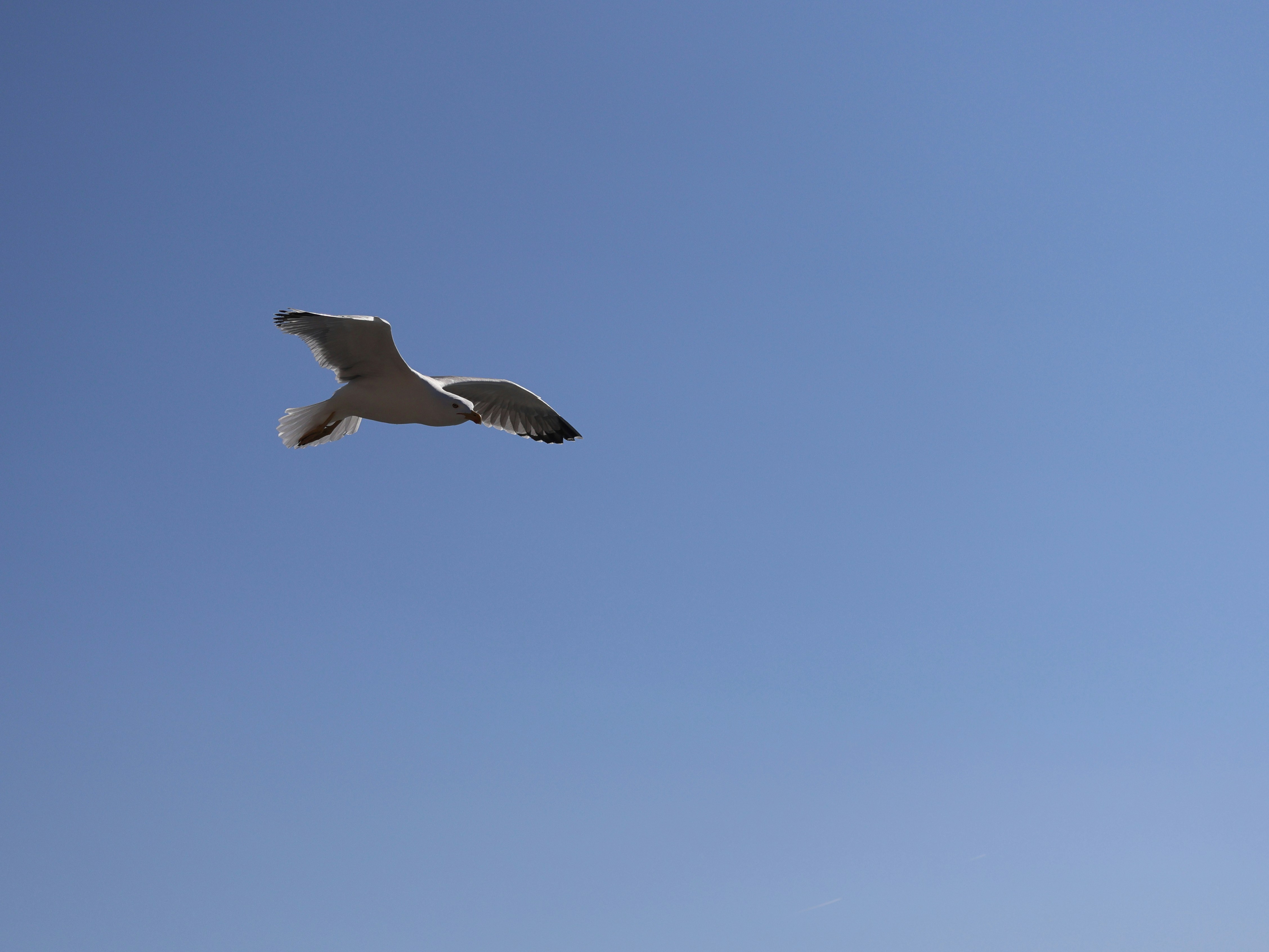 Photo by utentemedio