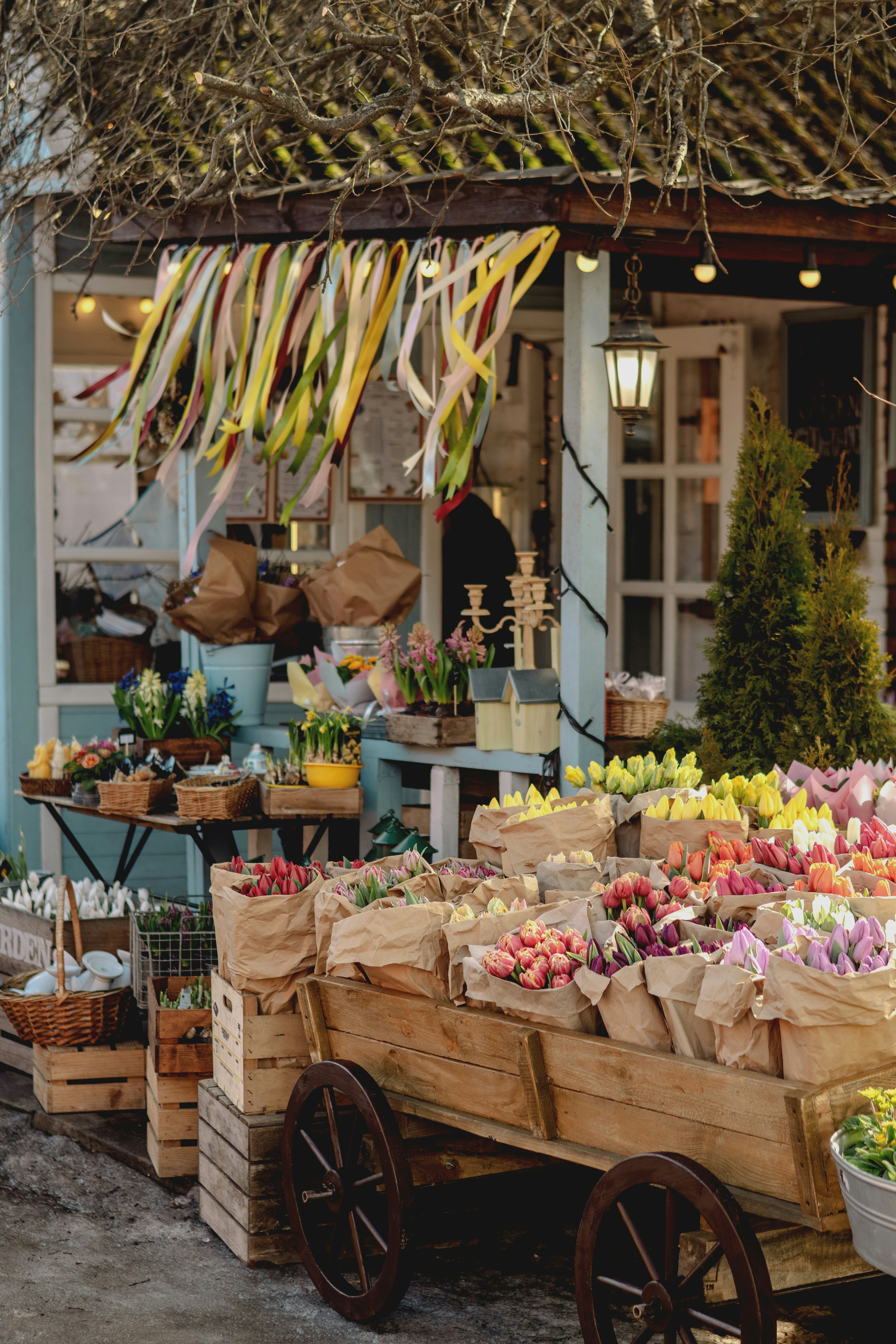 Flower stand with colorful tulips and daffodils displayed bulbs