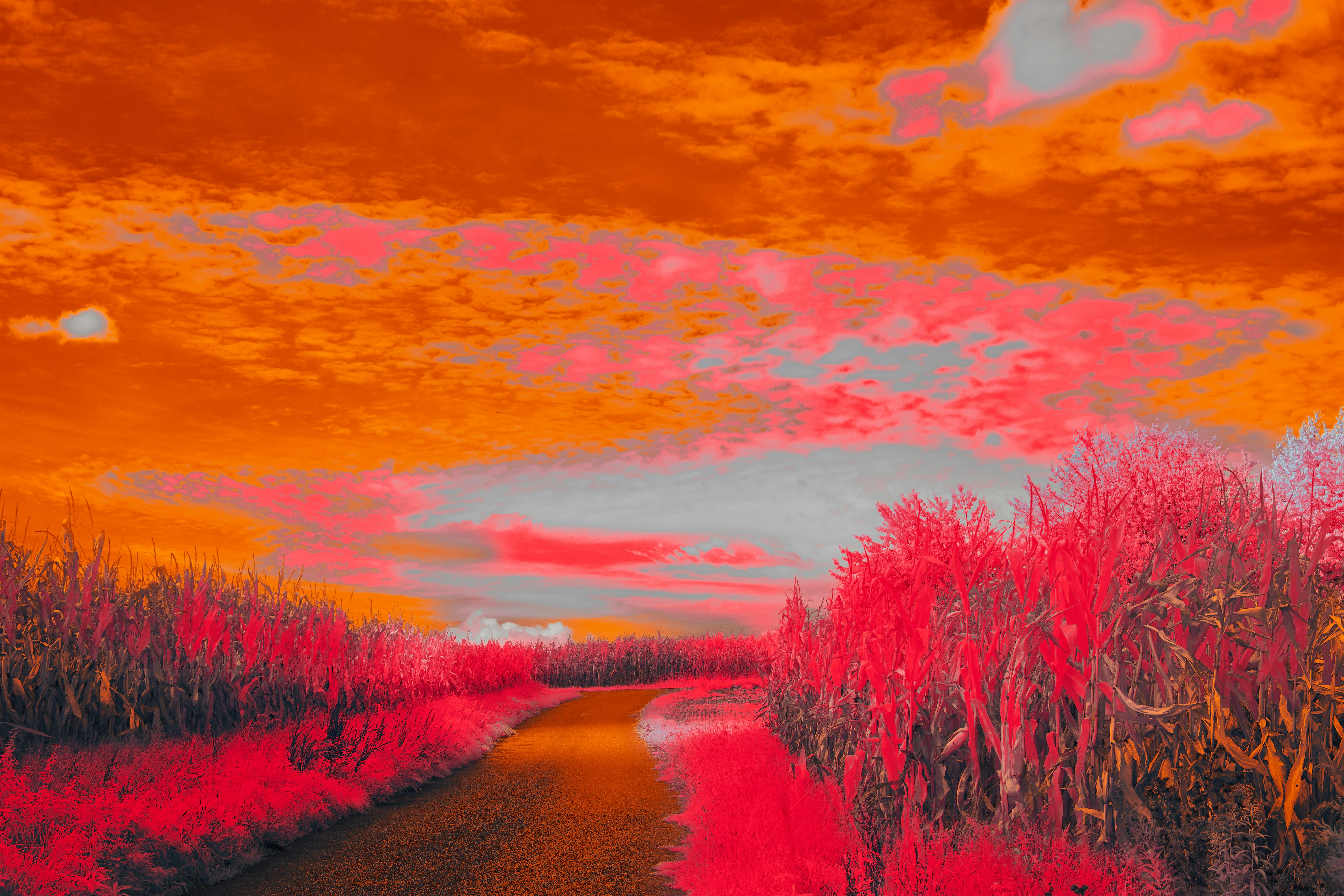 Photo by wolfgang_hasselmann