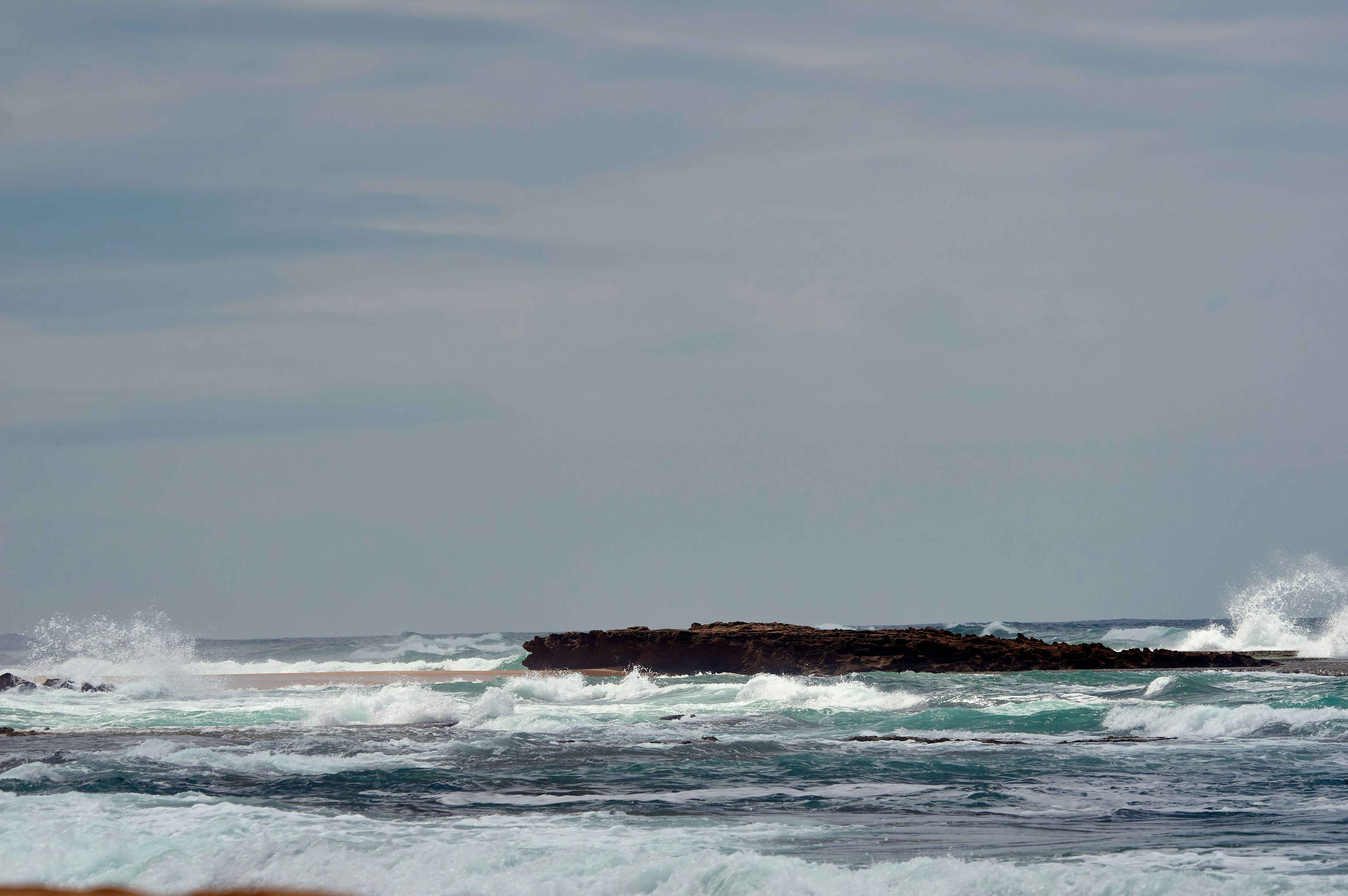 Photo by wolfgang_hasselmann