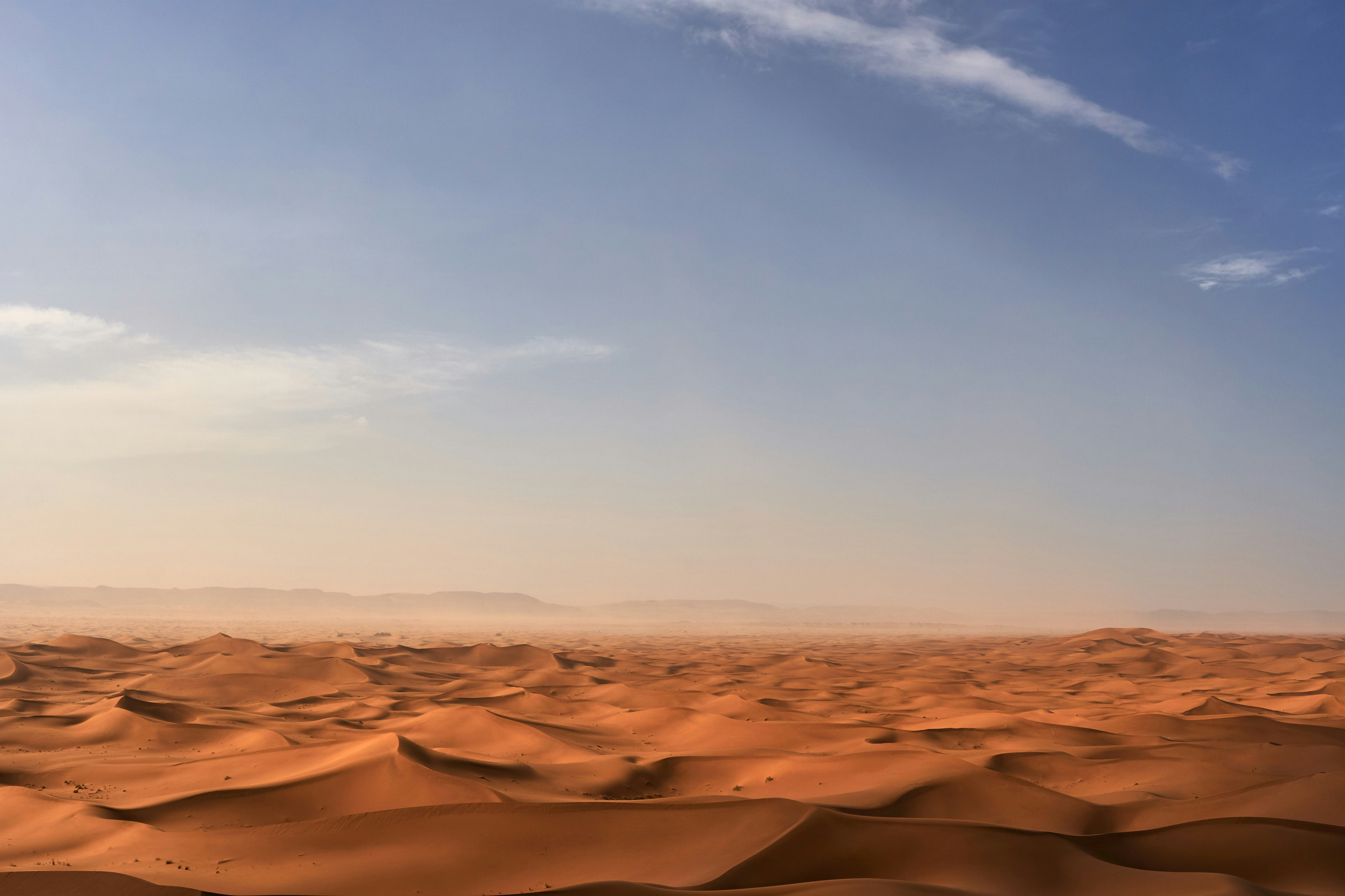 Photo by wolfgang_hasselmann