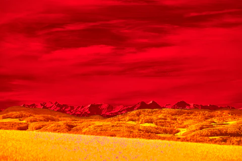Crimson Desert Sparks Guide Gold Rush for Legendary Loot