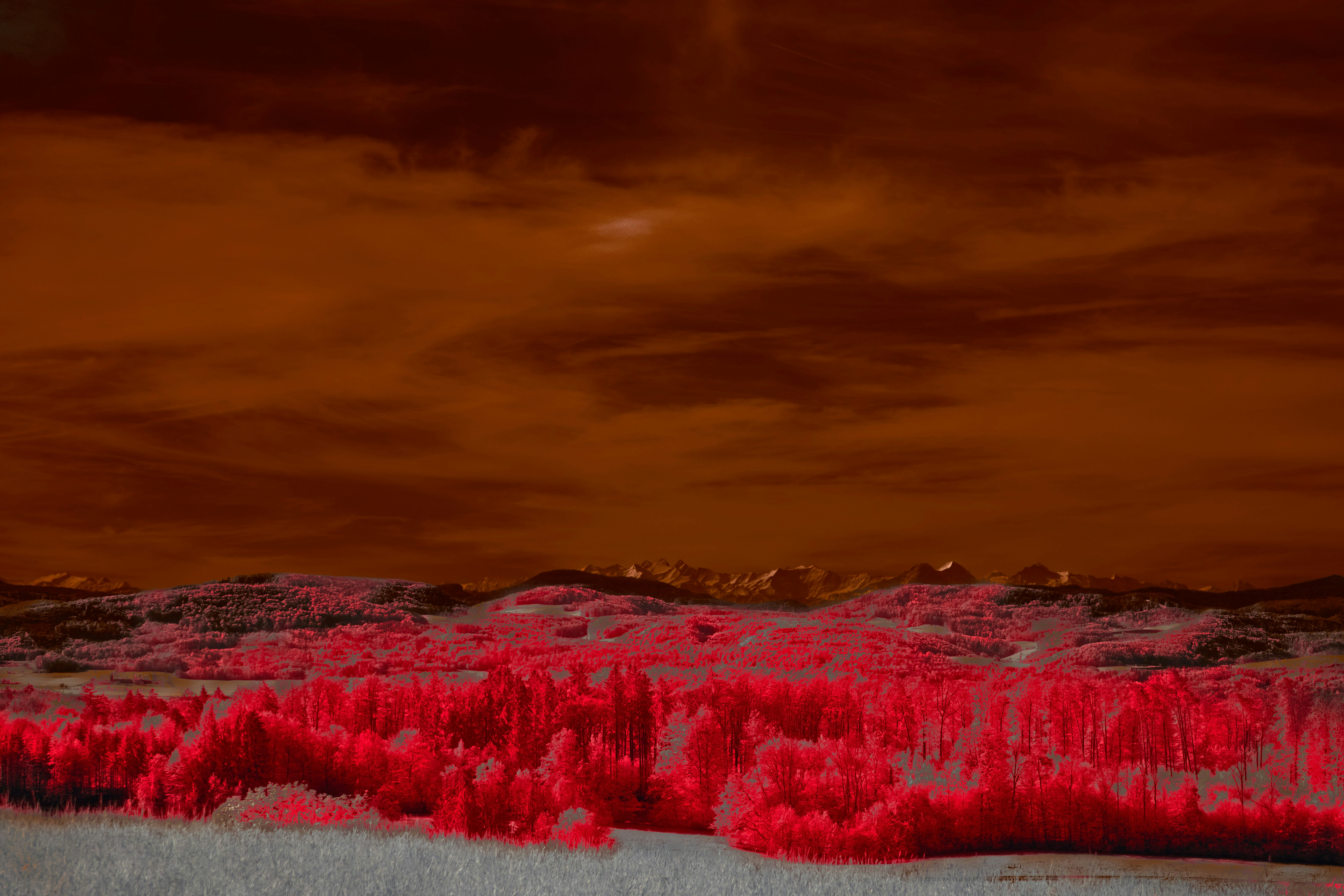 Photo by wolfgang_hasselmann