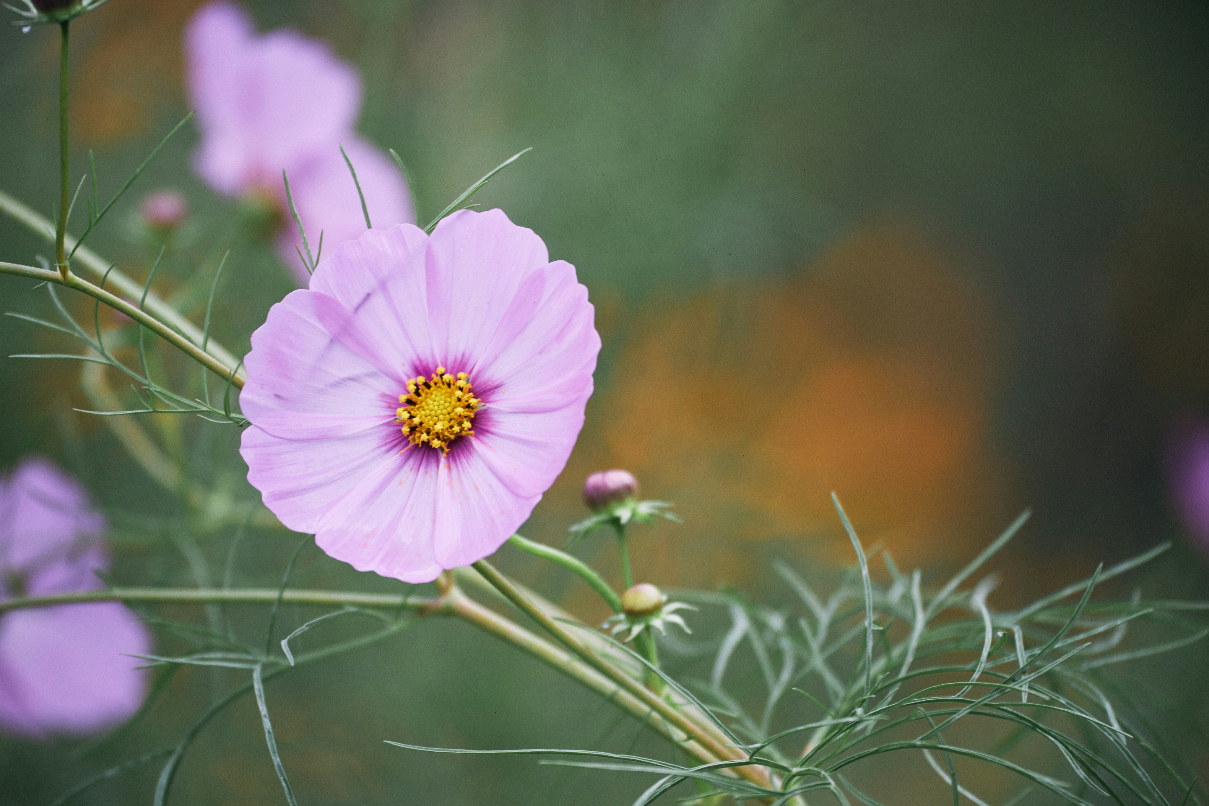 Photo by tsuyoshikozu