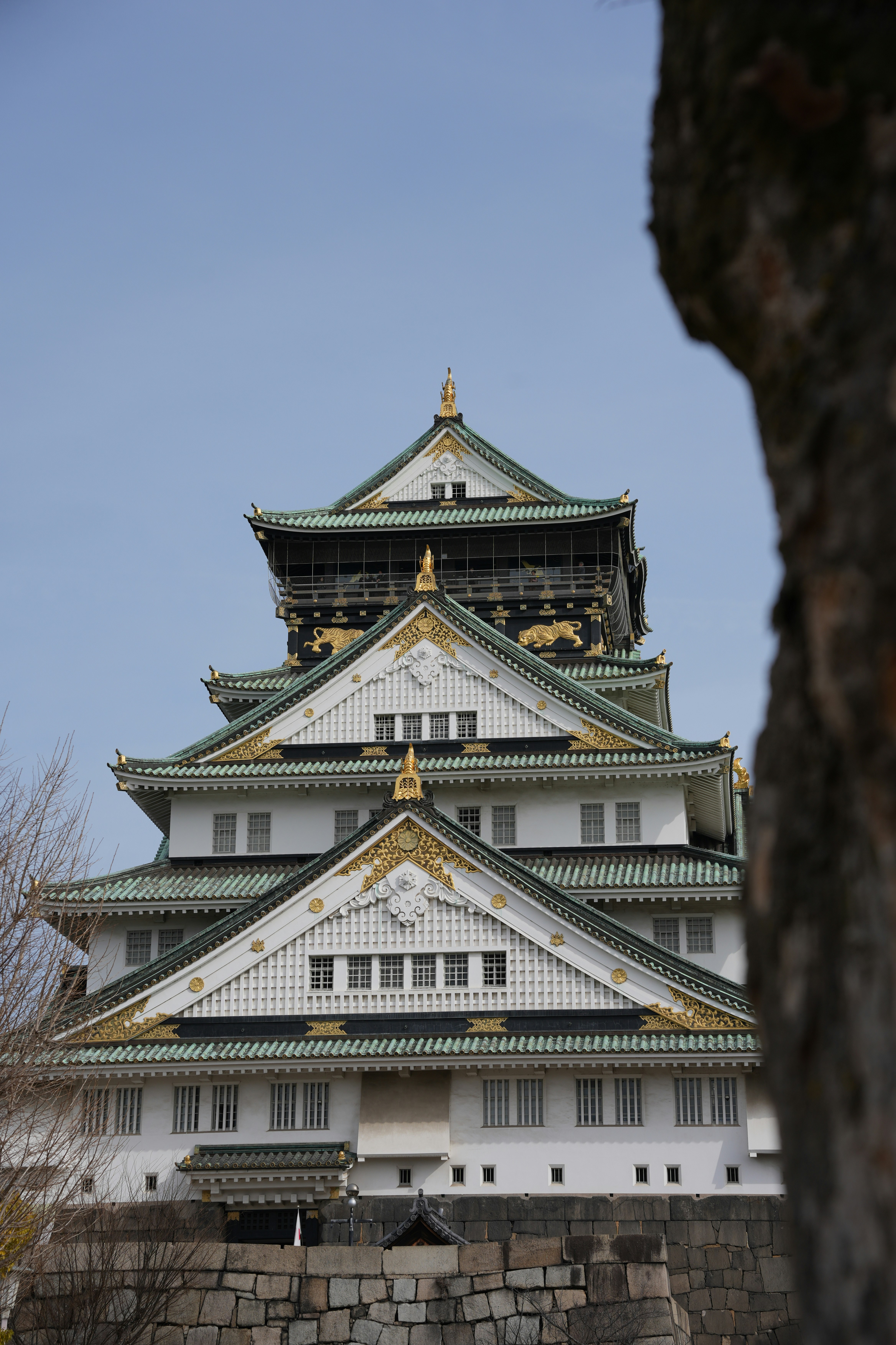 Photo by erushinu