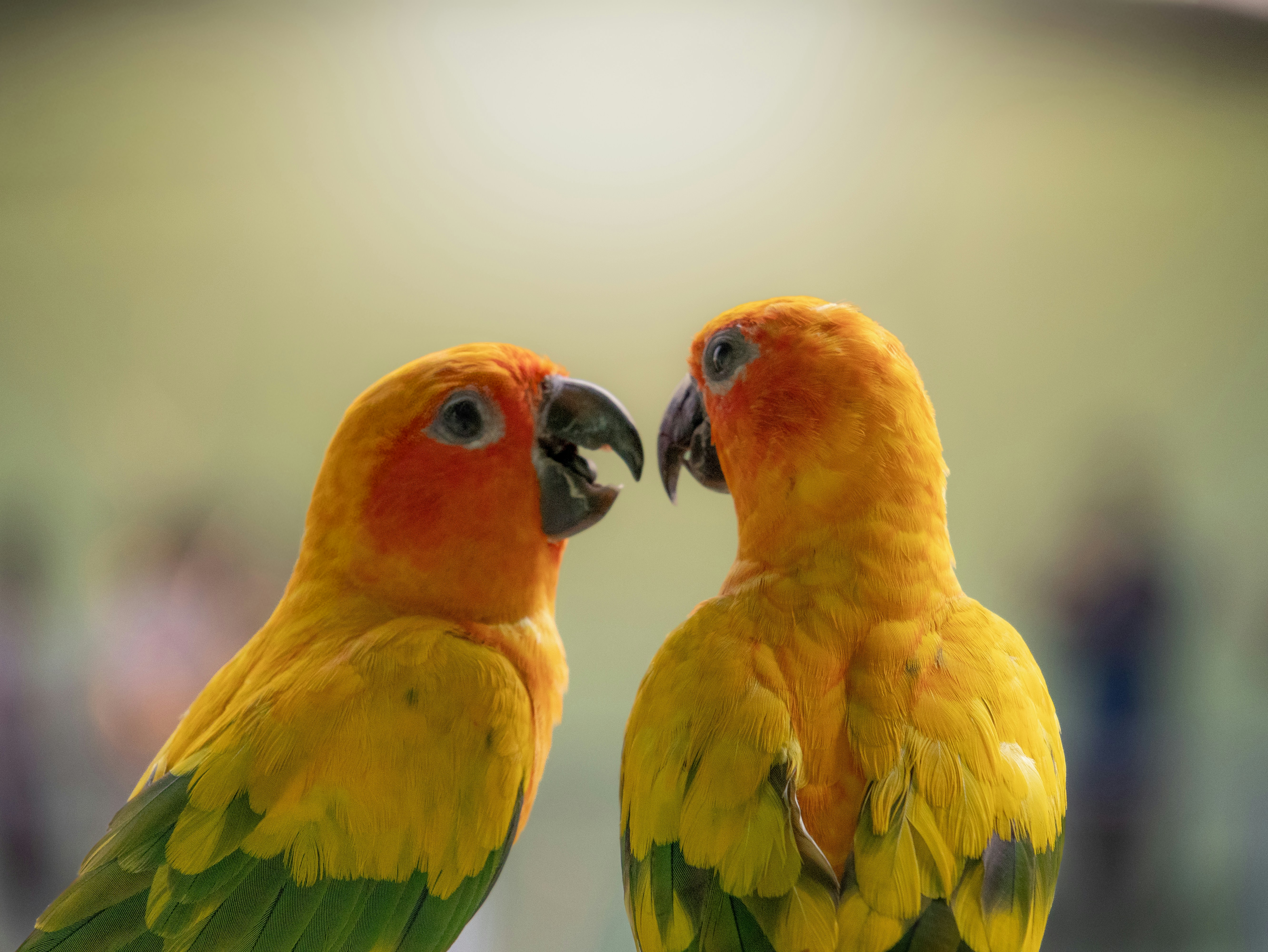 Photo by suryadoingstuff