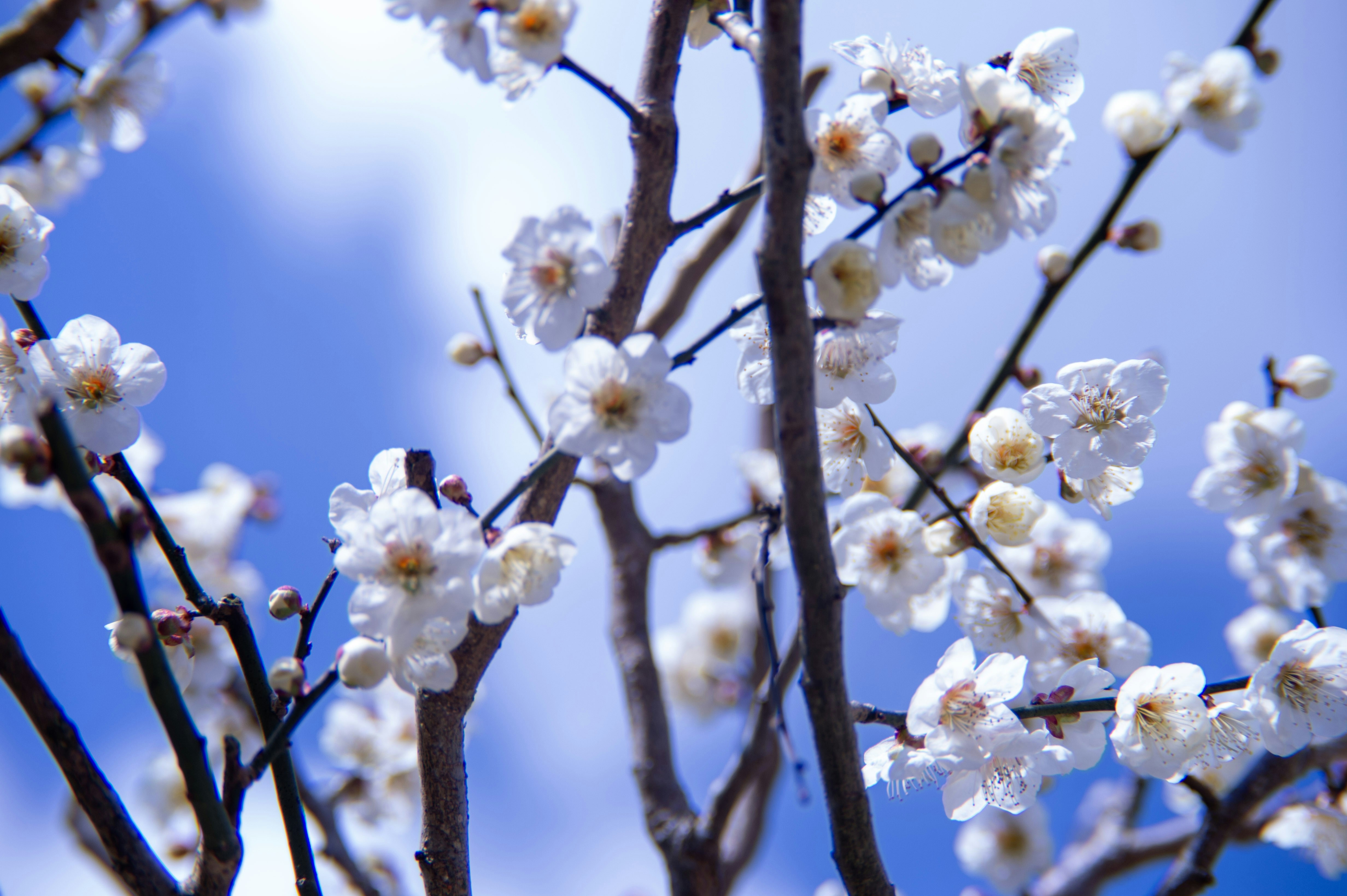 Photo by ziro1005