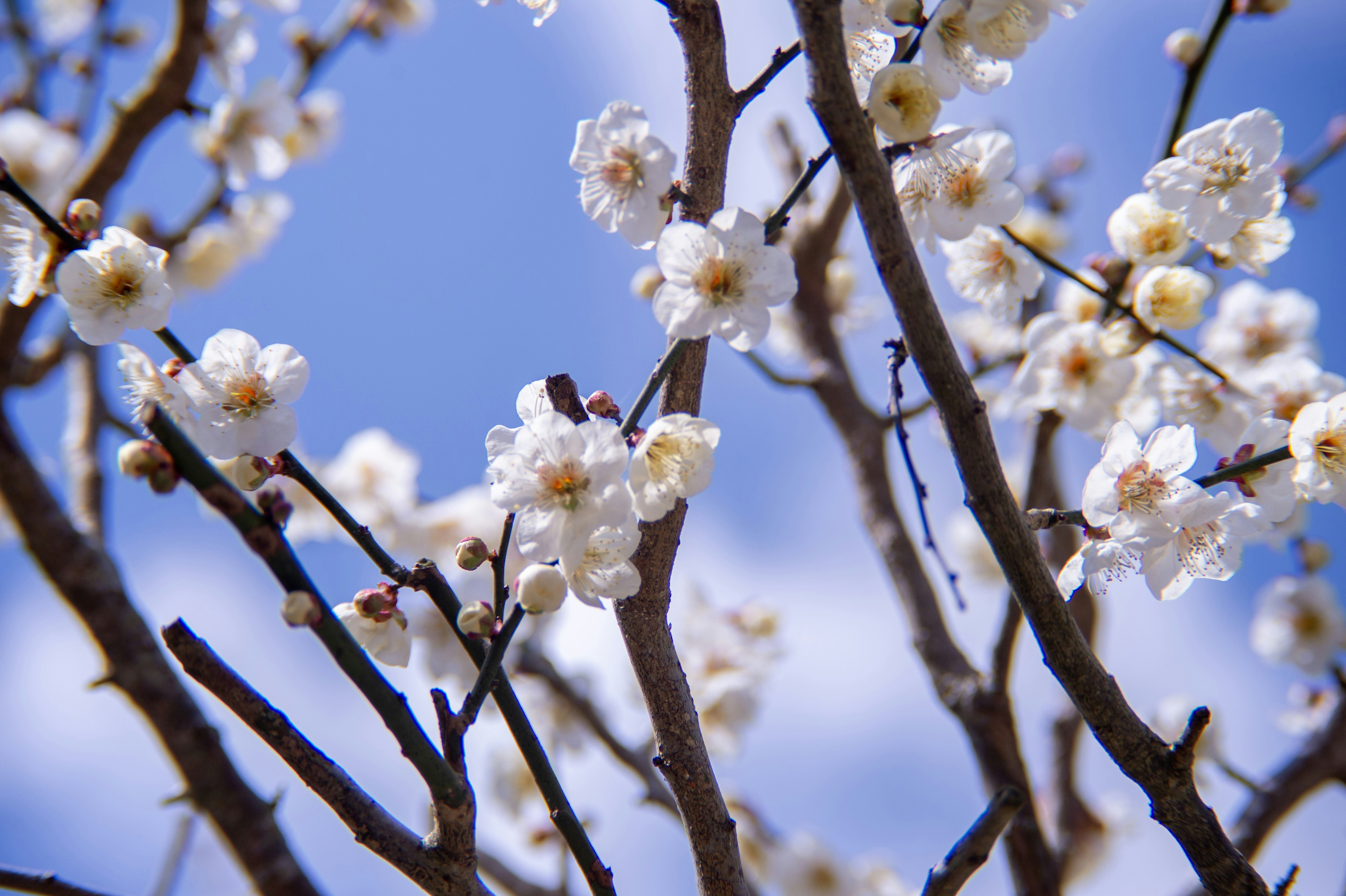 Photo by ziro1005