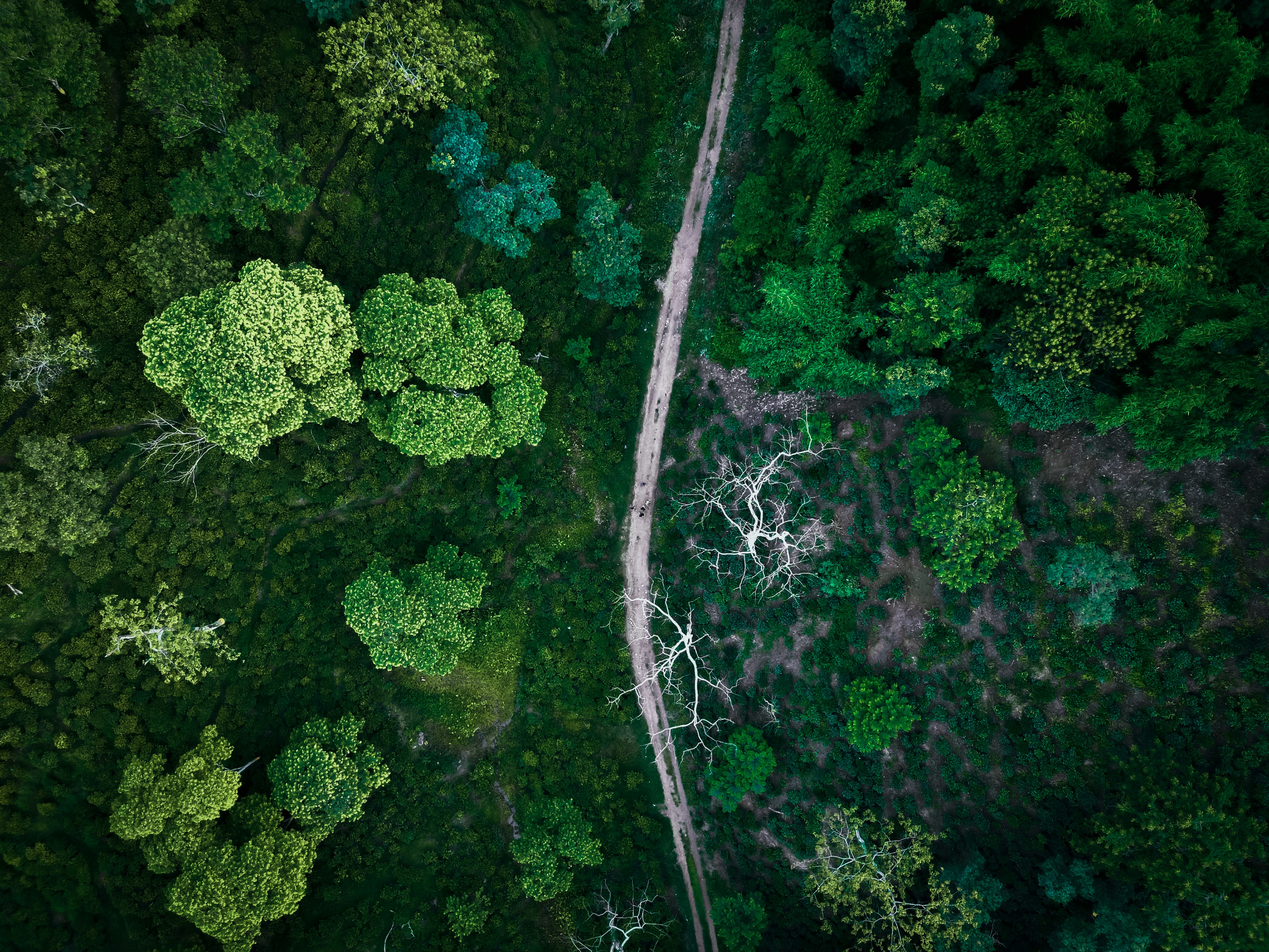 Photo by paddmasambhav