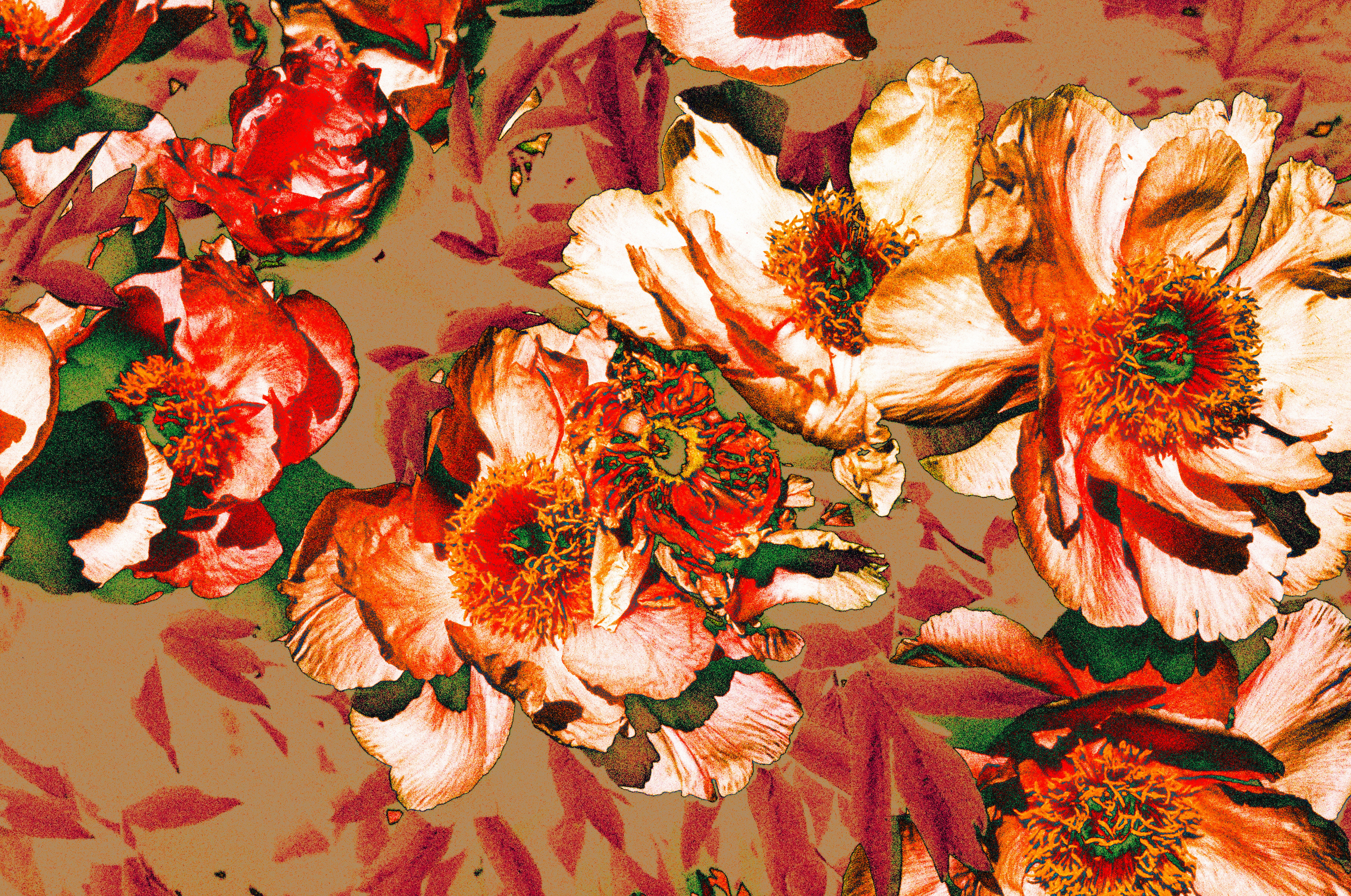 A floral pattern with red and white flowers.