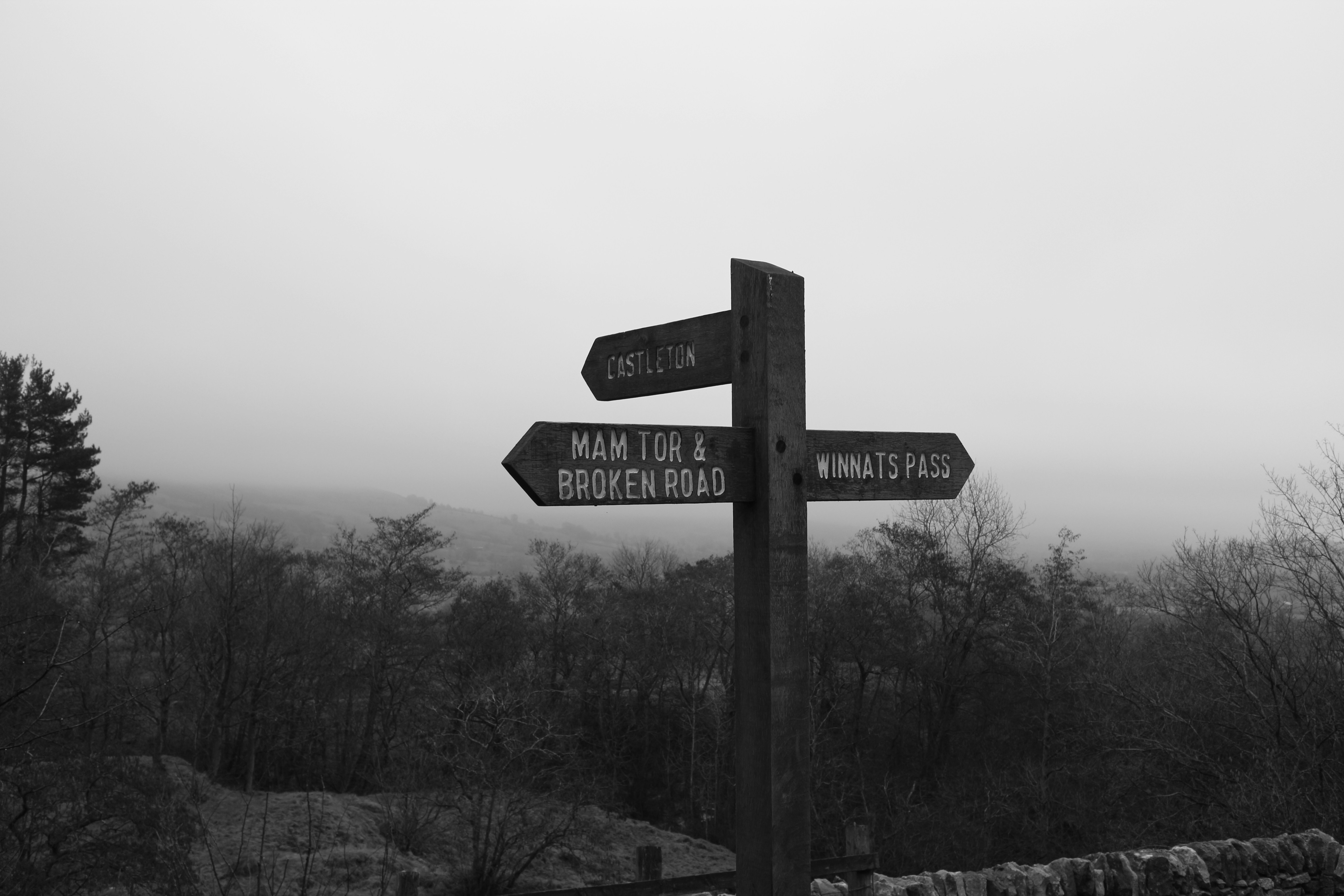 Photo by hellokalifornia