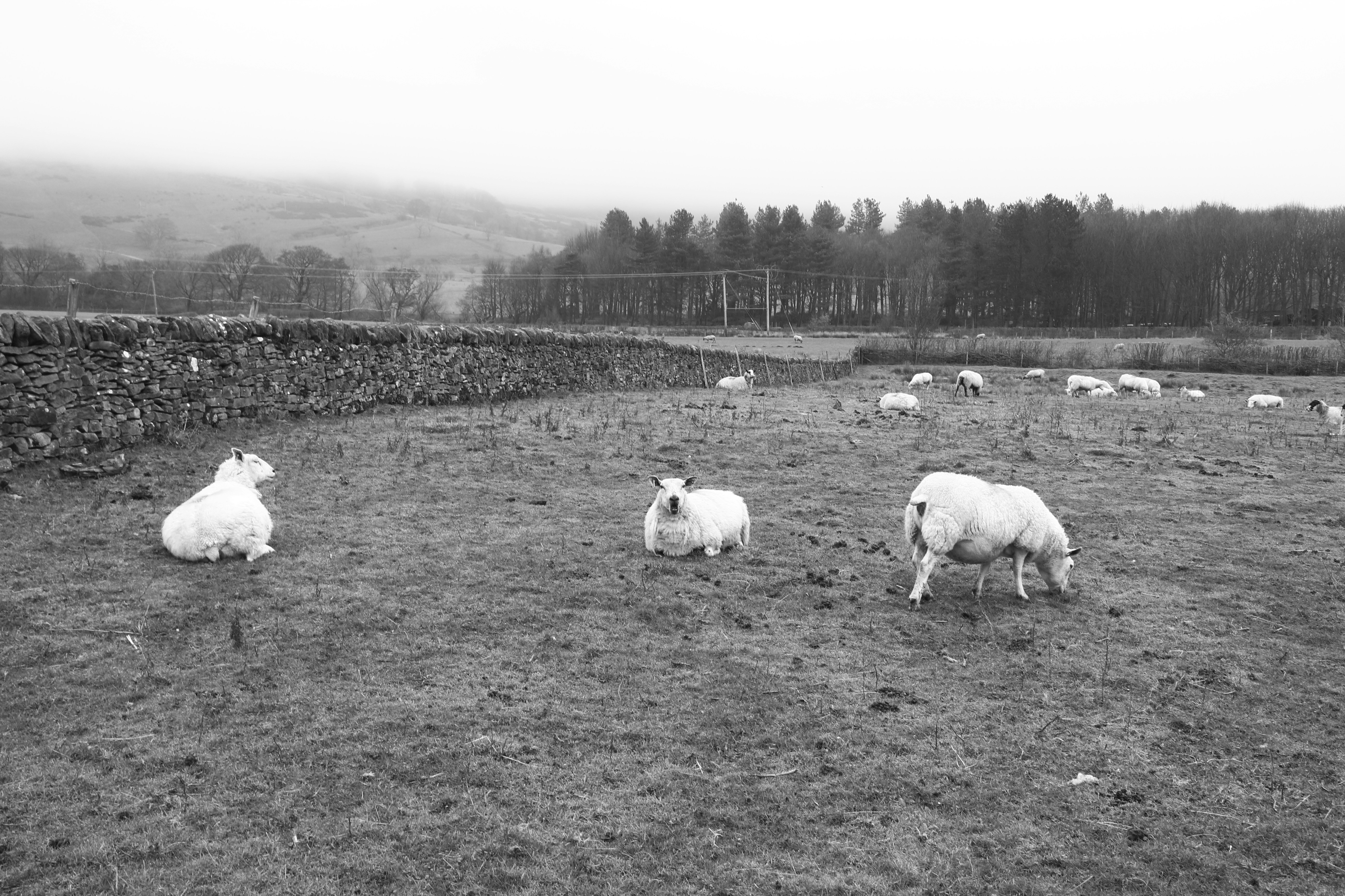 Photo by hellokalifornia