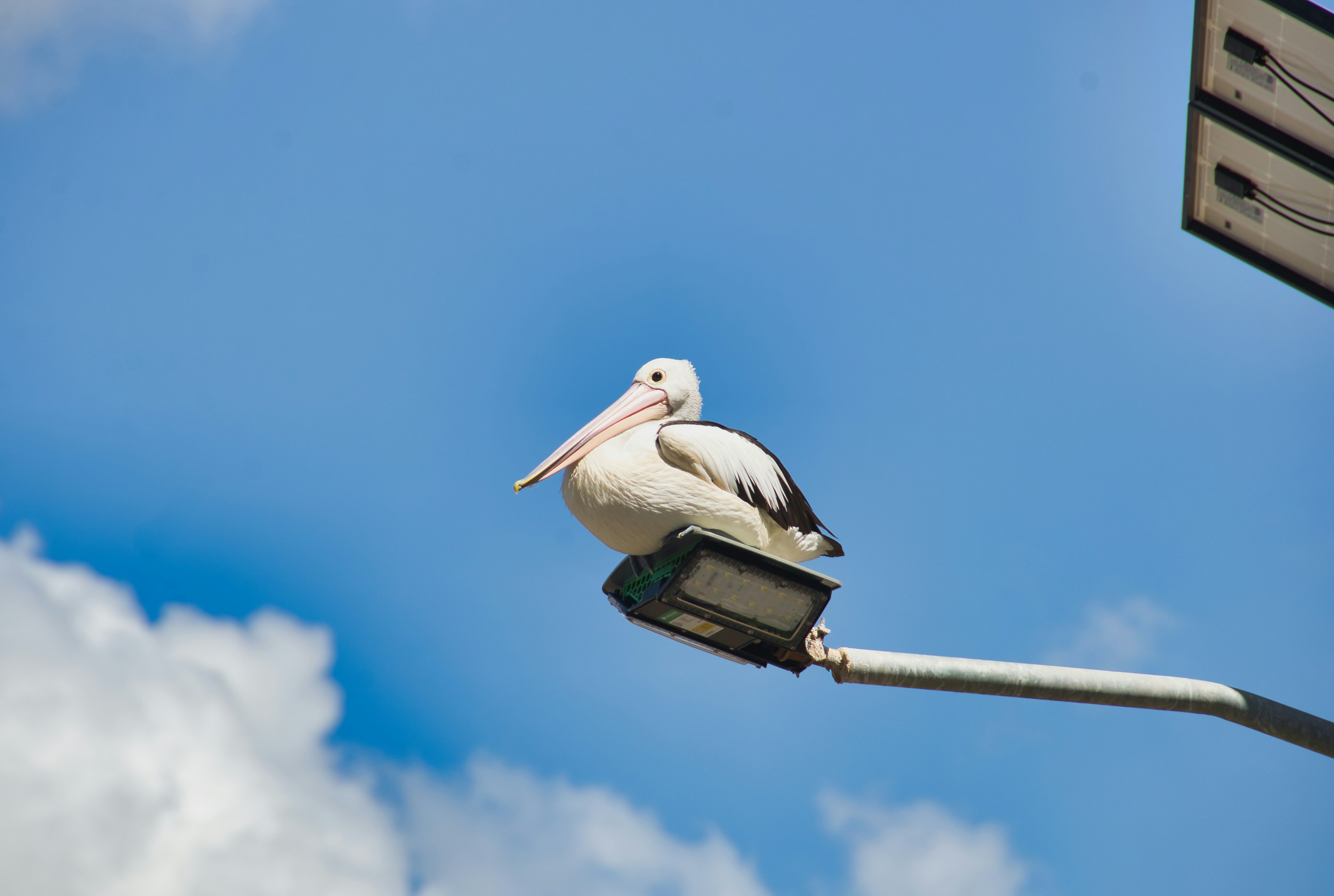 What to Do in Noble Park: 13 Verified Local Spots