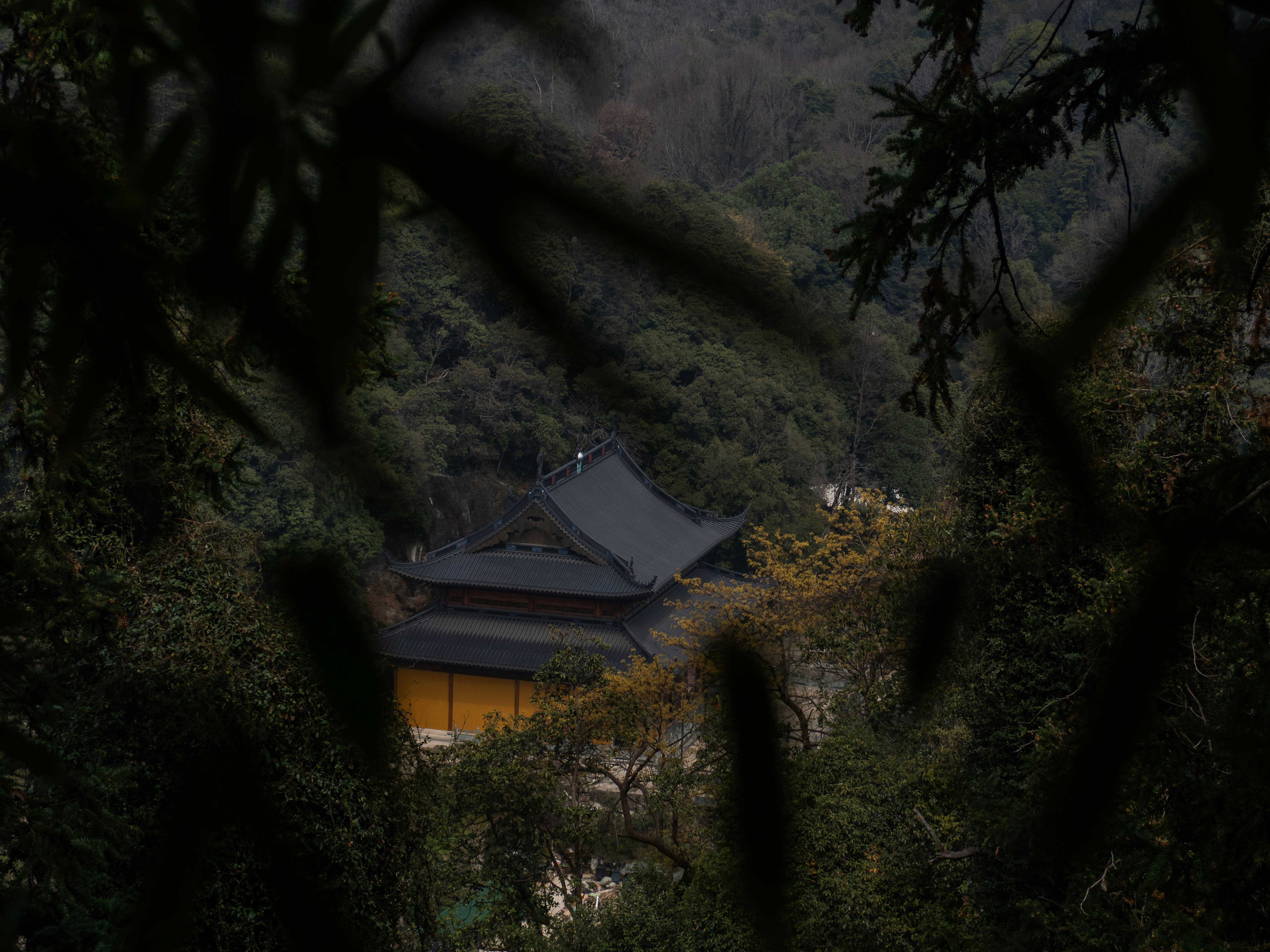 Photo by wenzywong