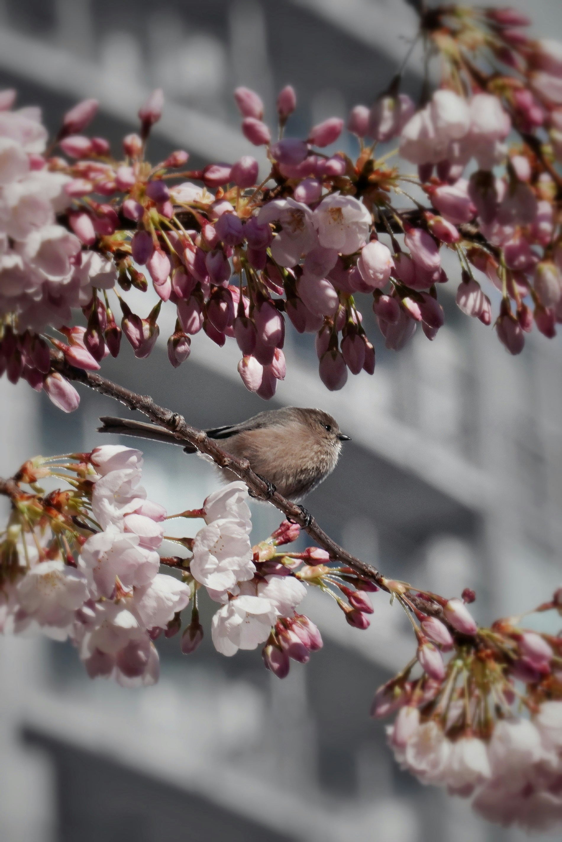 Photo by loveleencherub